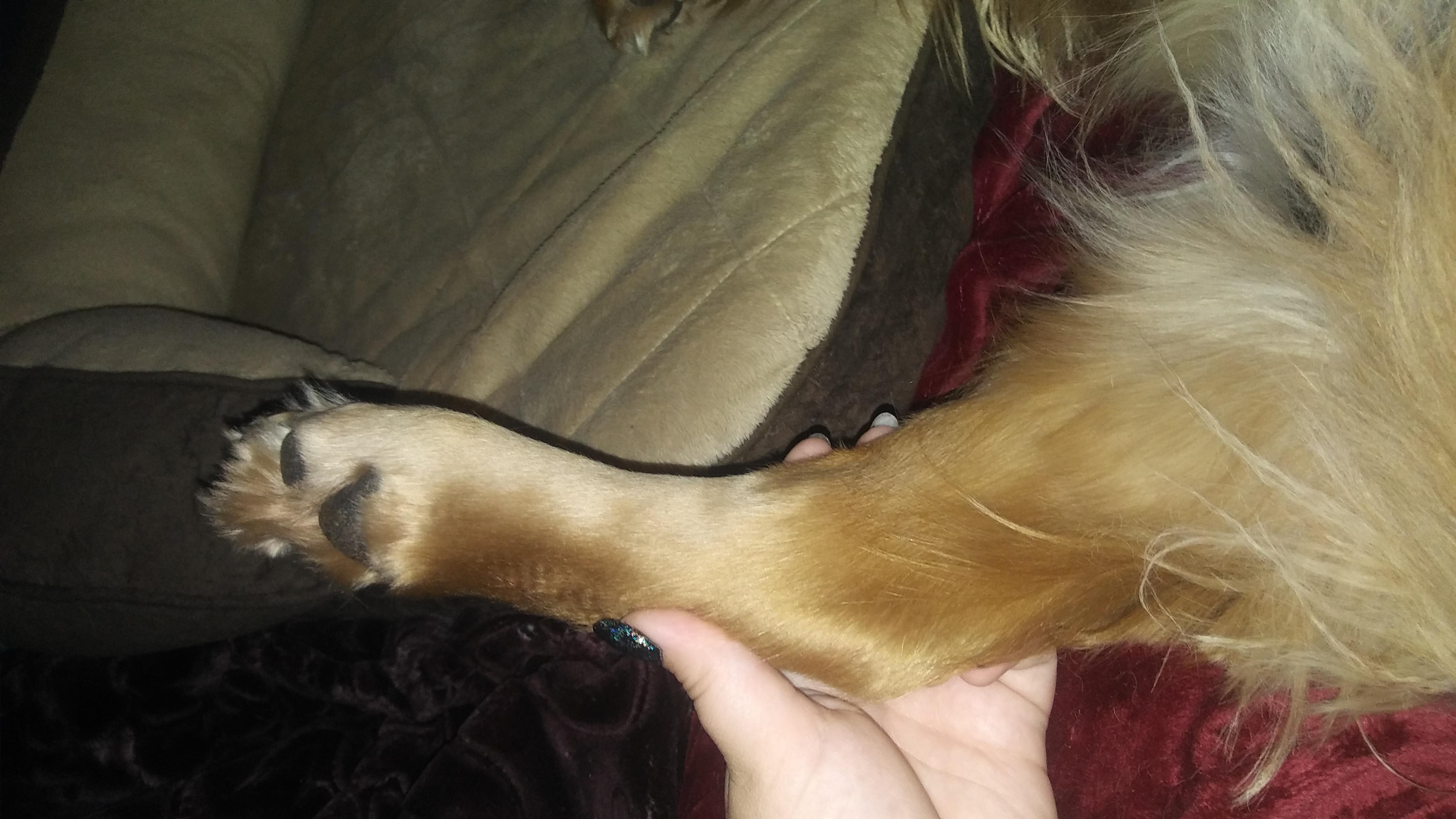 Question details sensitive content