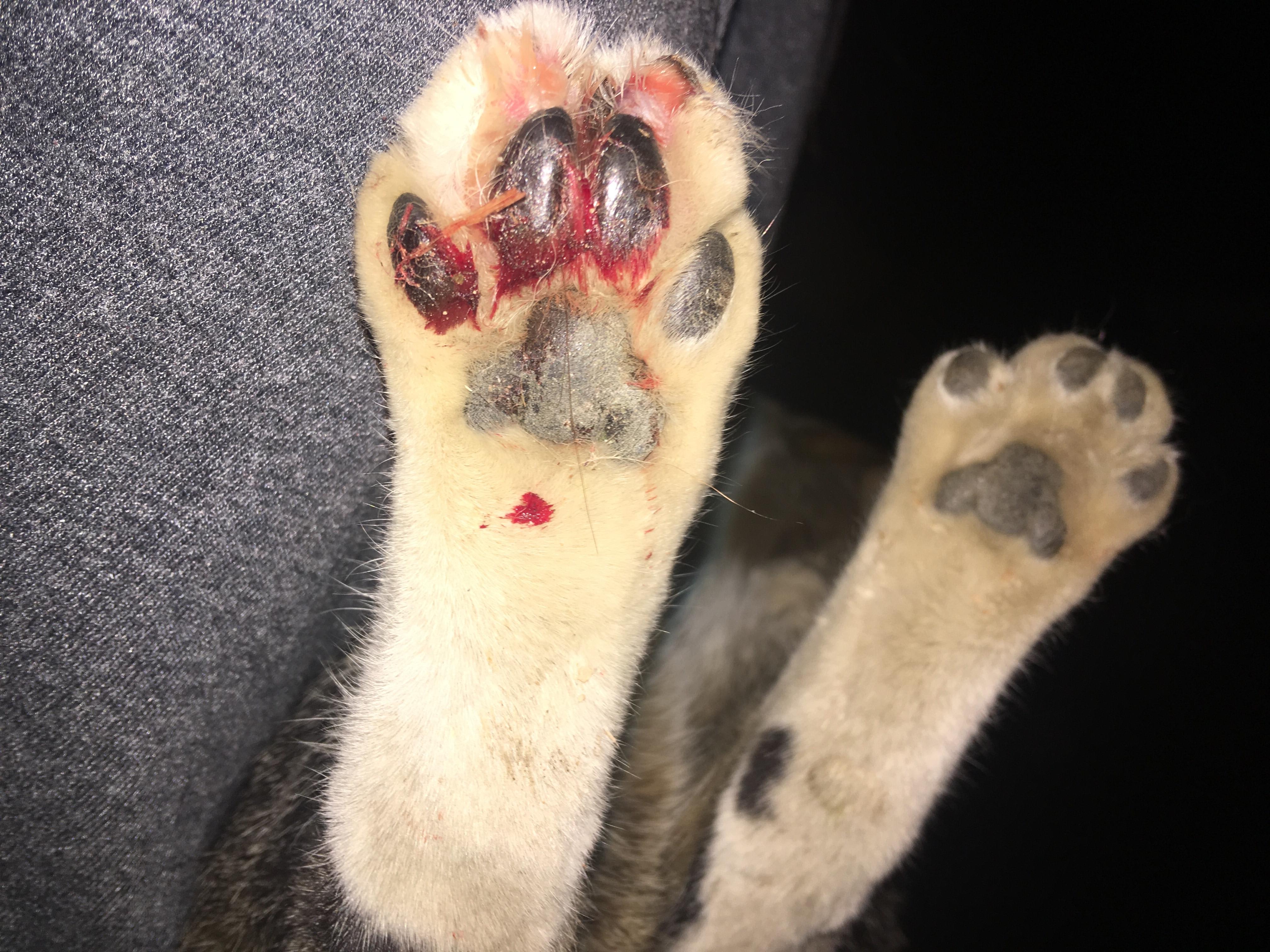 Question details sensitive content