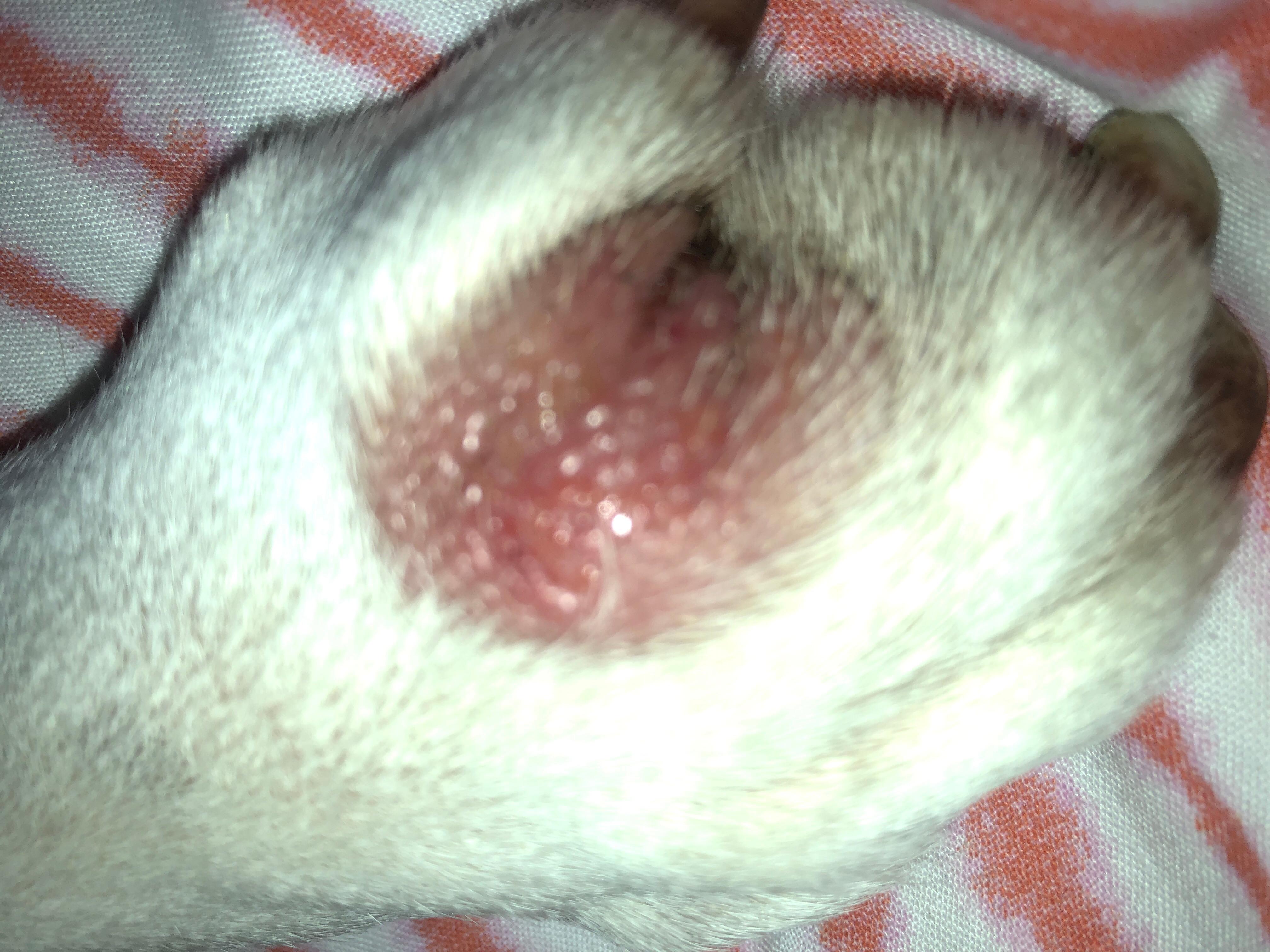 Question details sensitive content