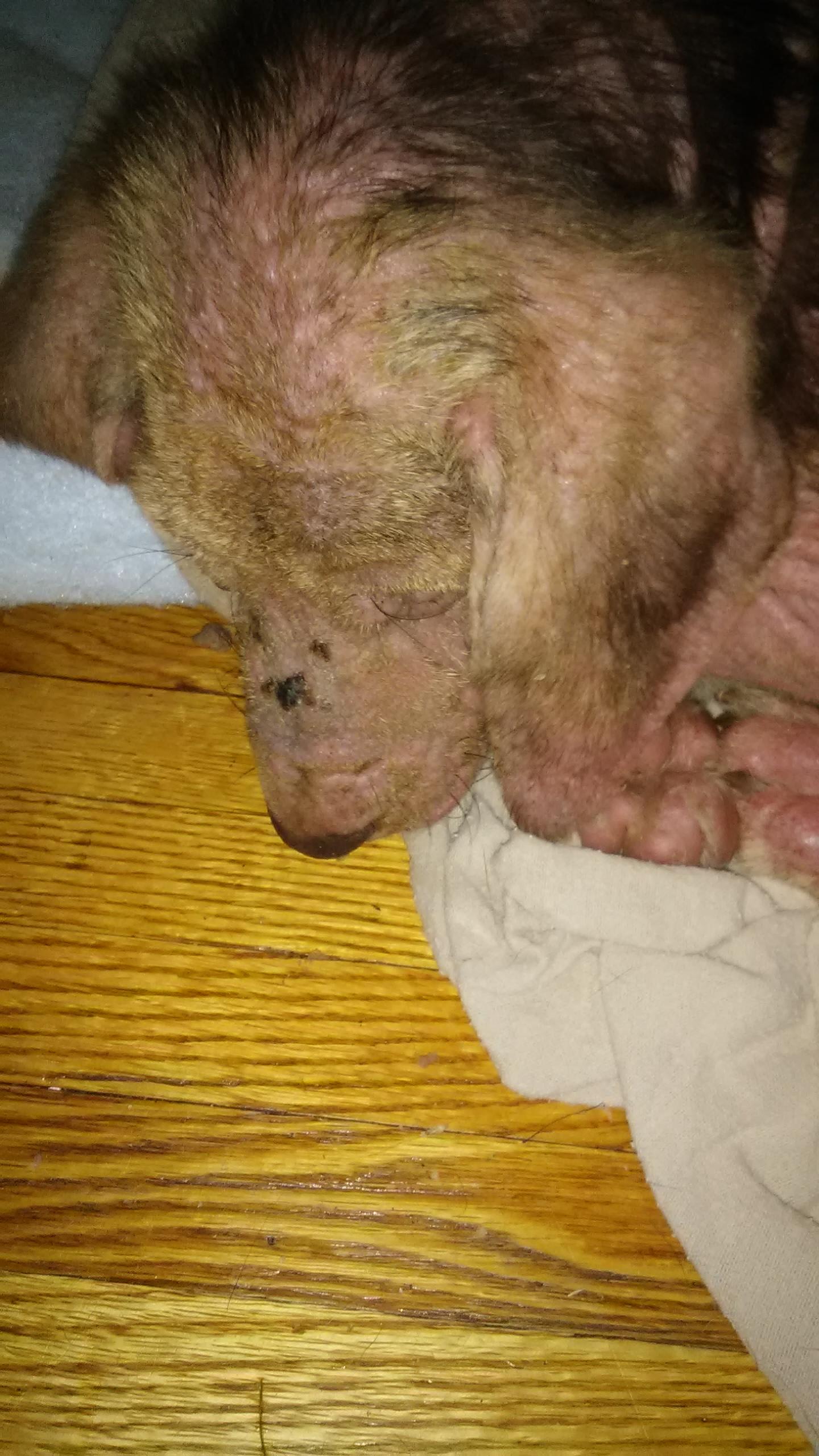 Question details sensitive content