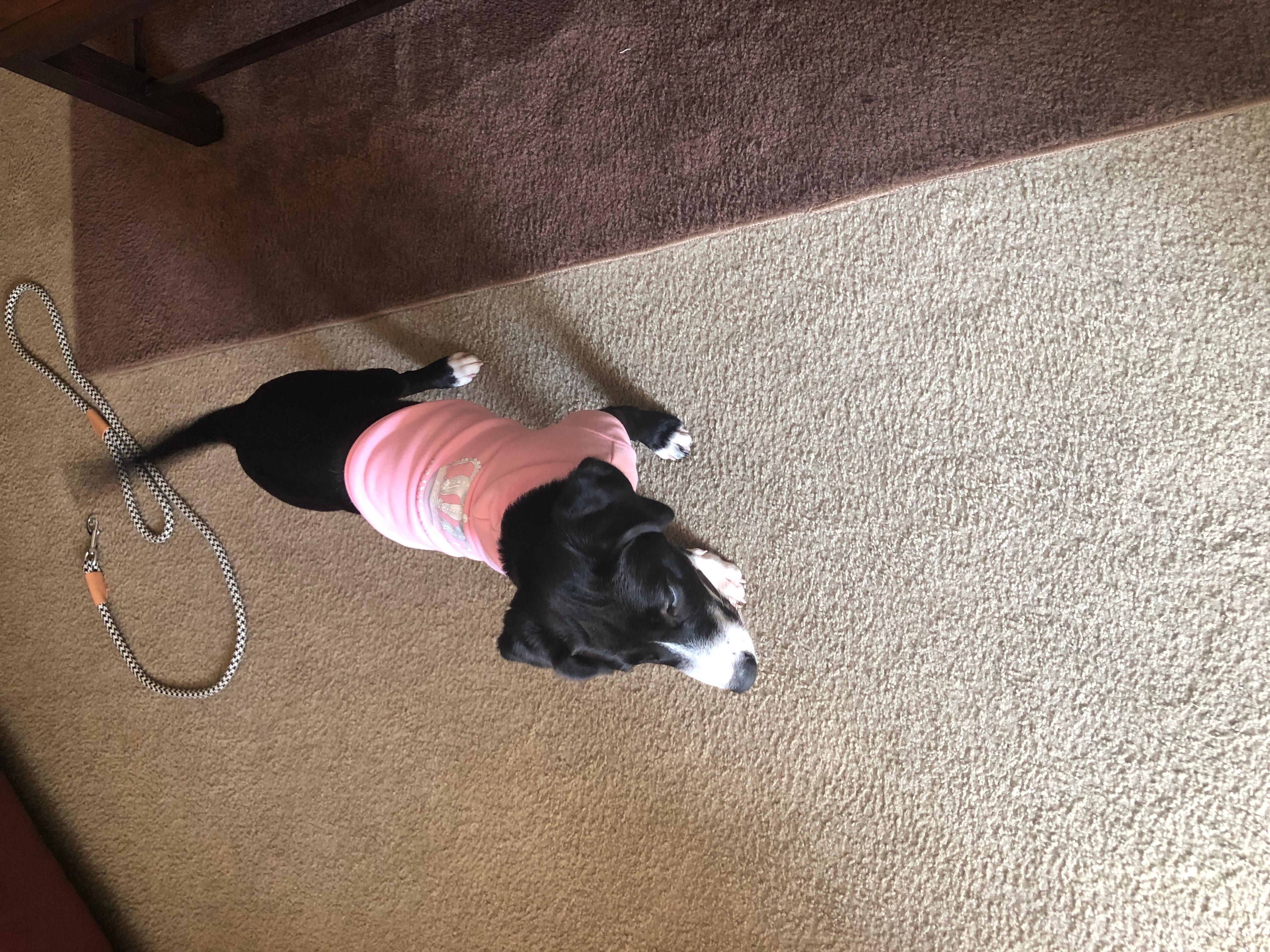 Question details sensitive content