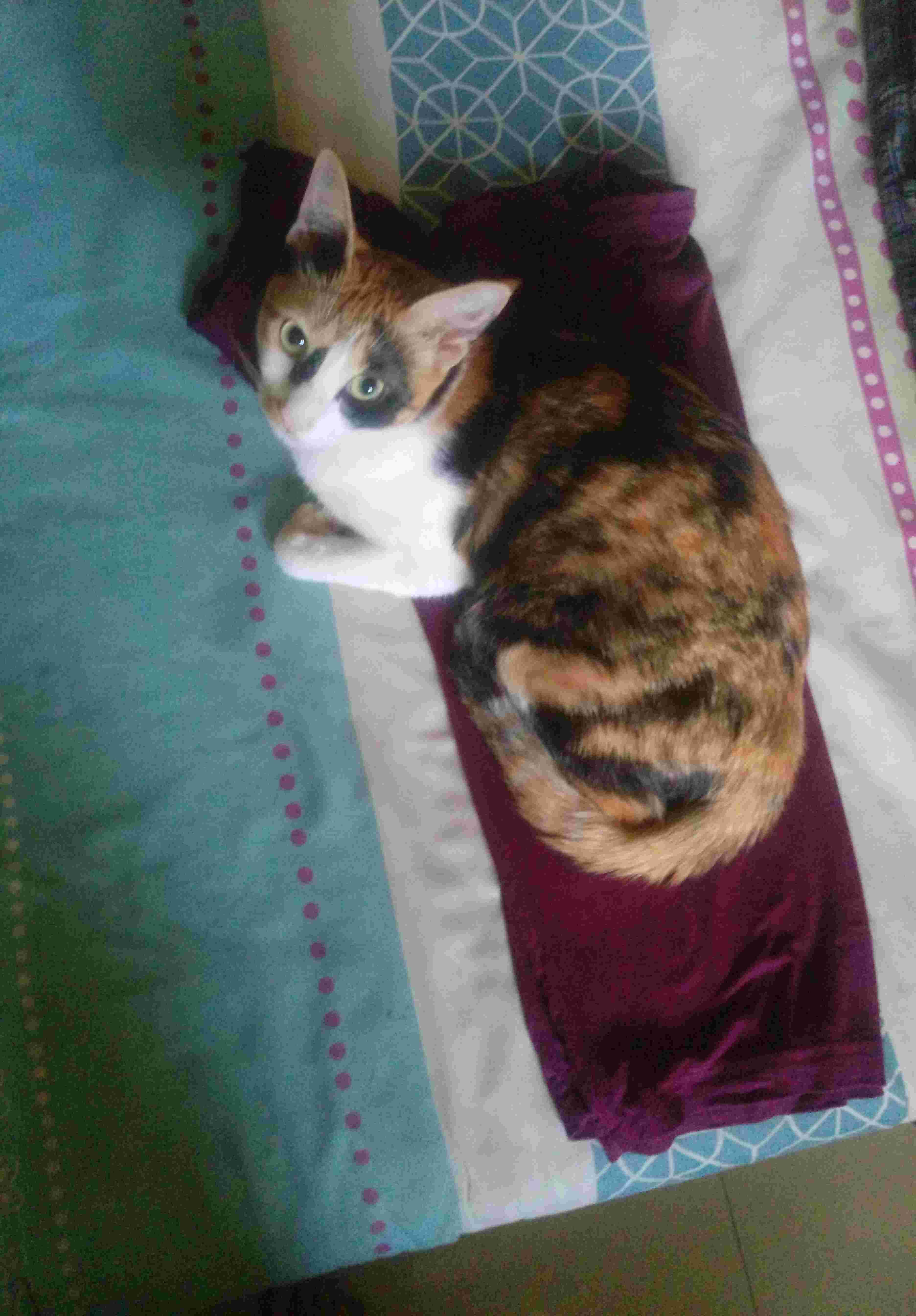 Question details sensitive content