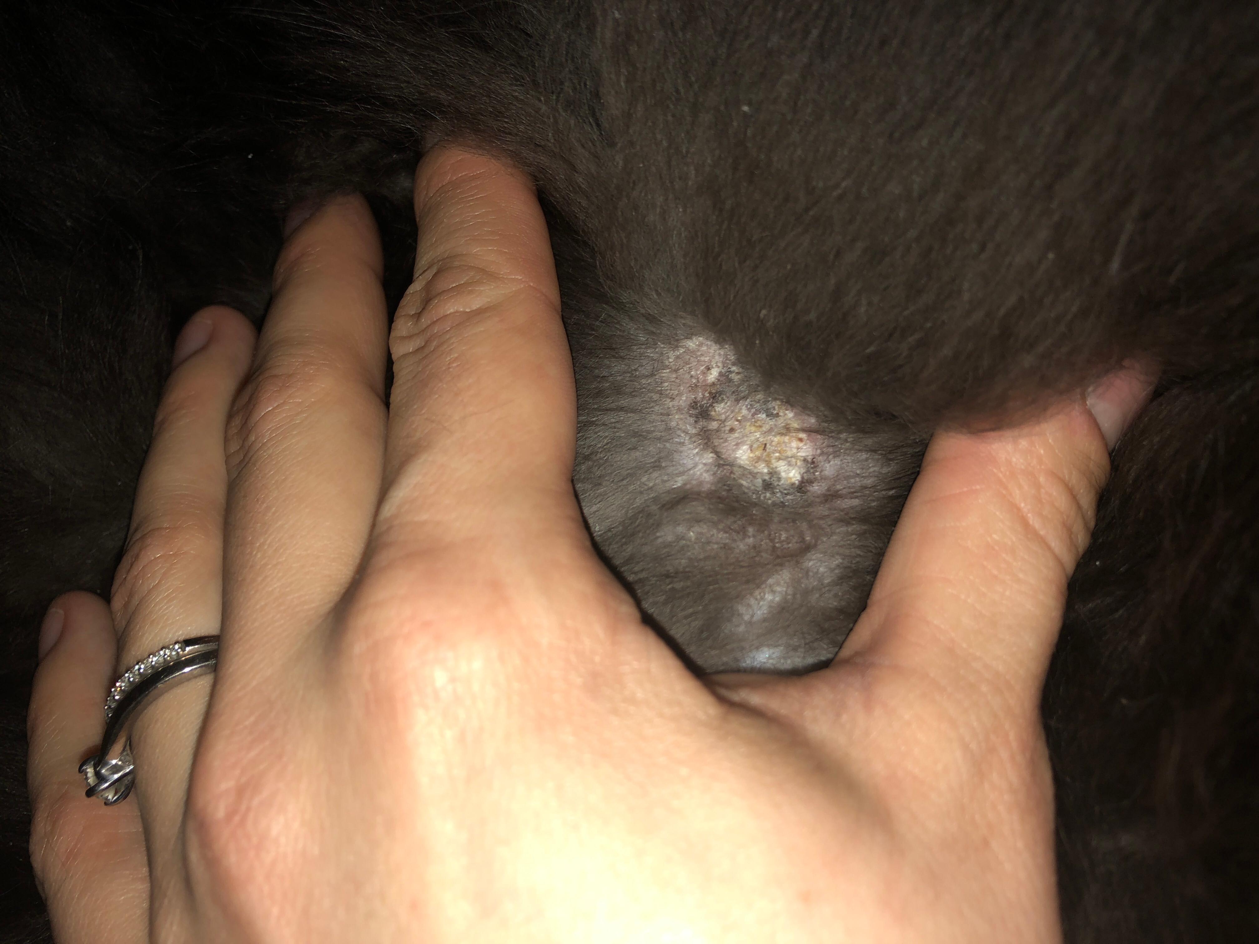 Question details sensitive content