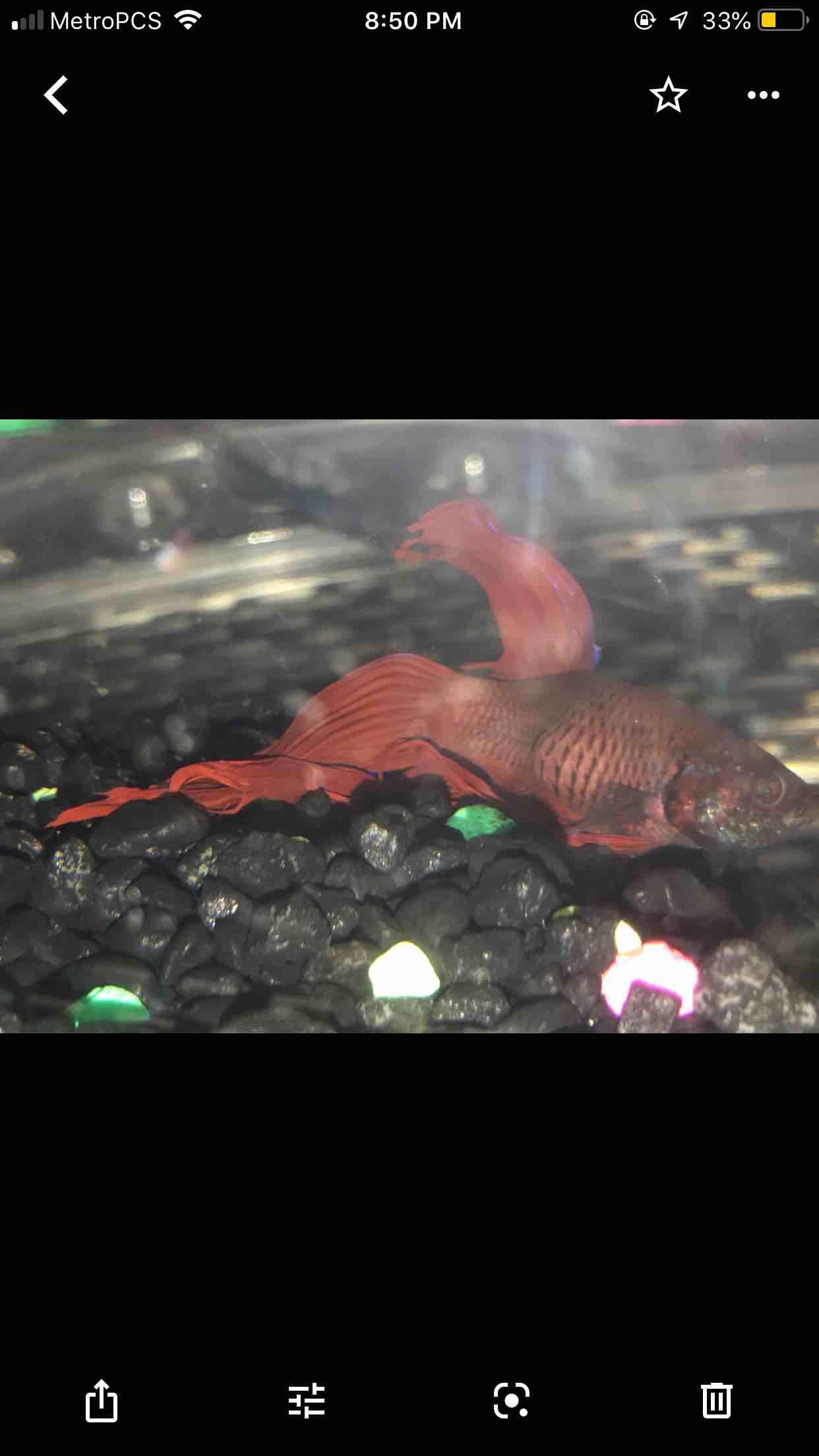 Question details sensitive content