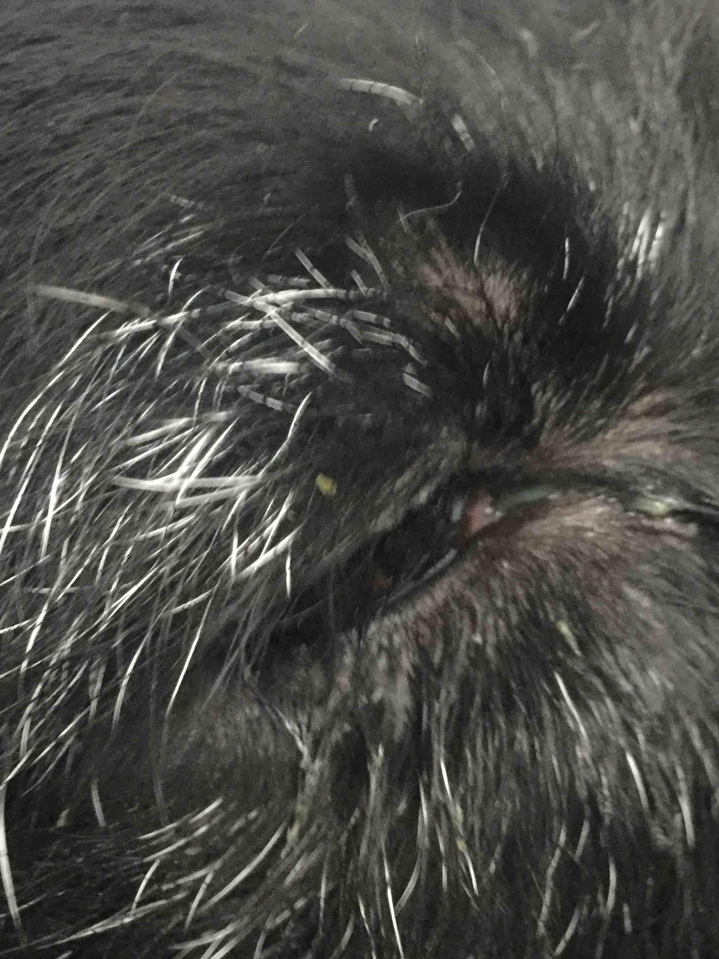 Question details sensitive content