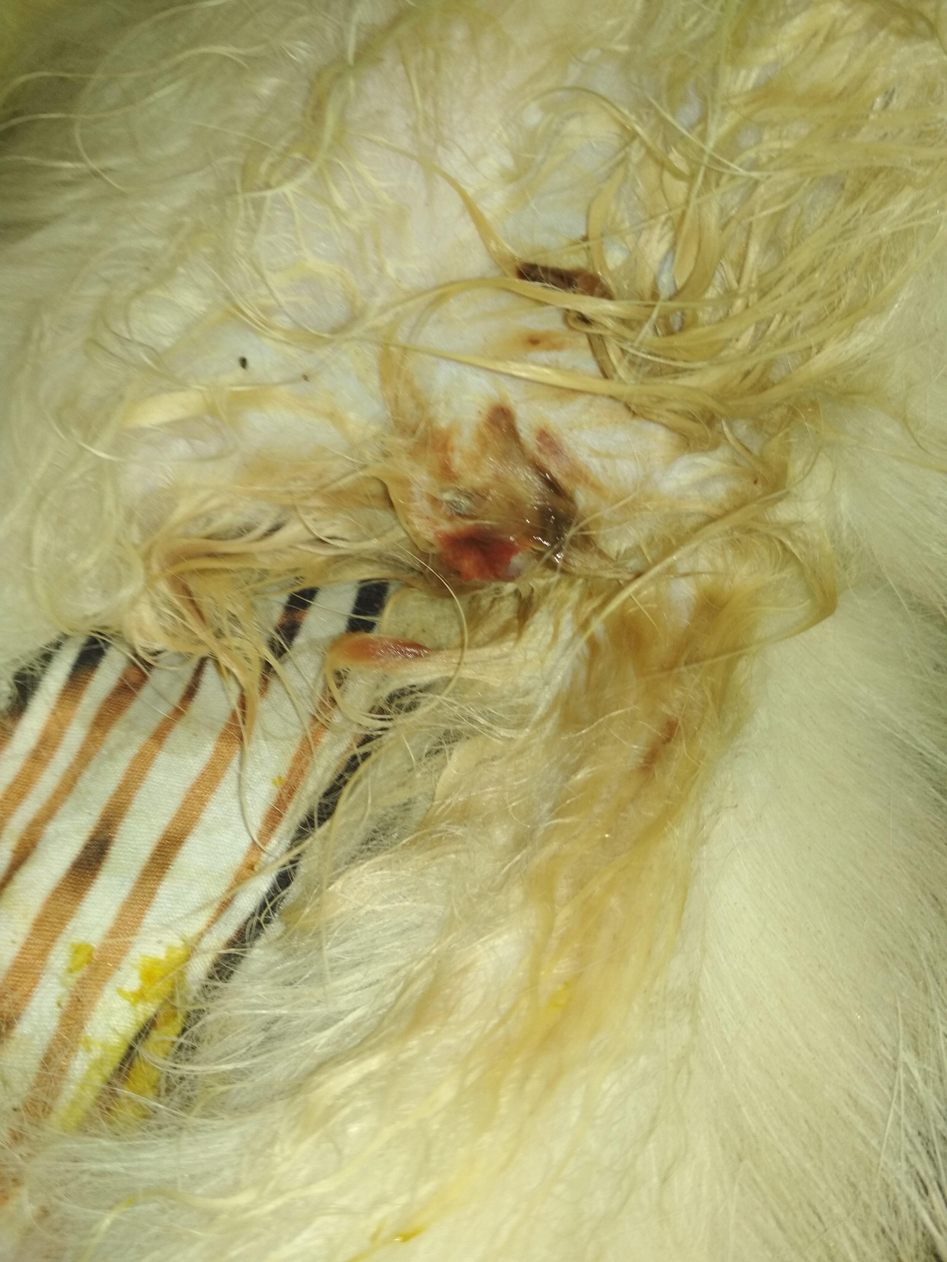 Question details sensitive content