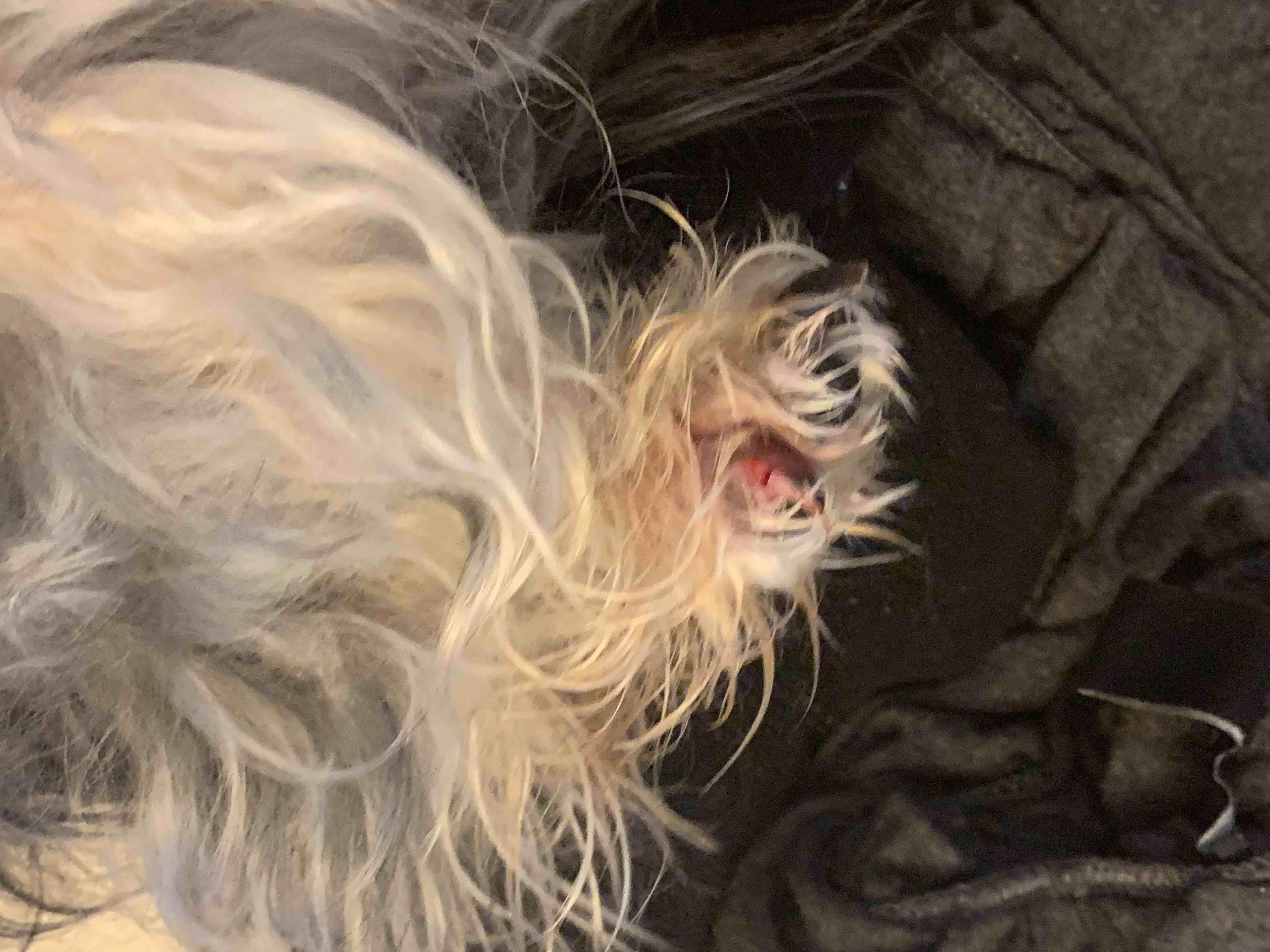 Question details sensitive content