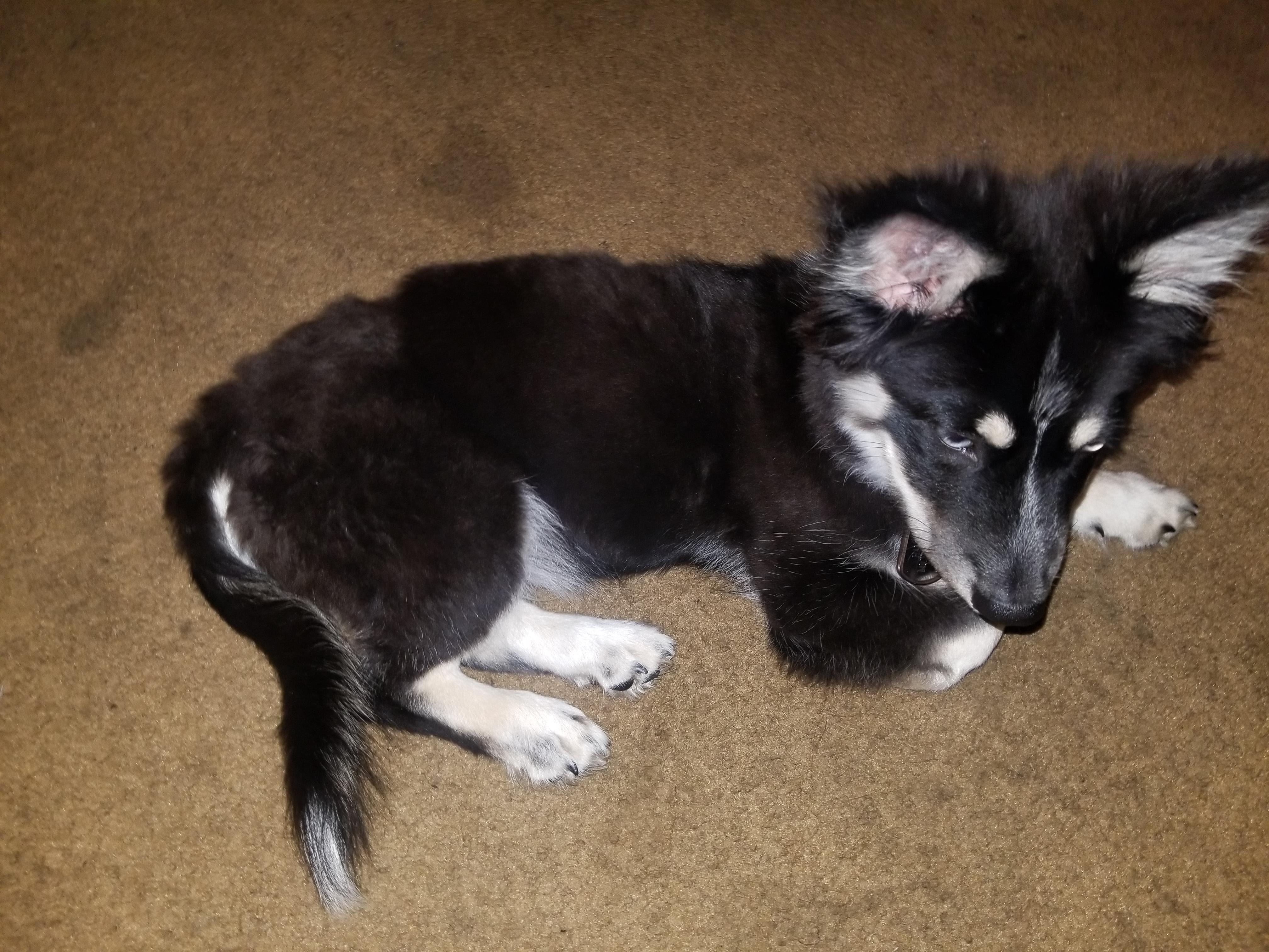 Question details sensitive content