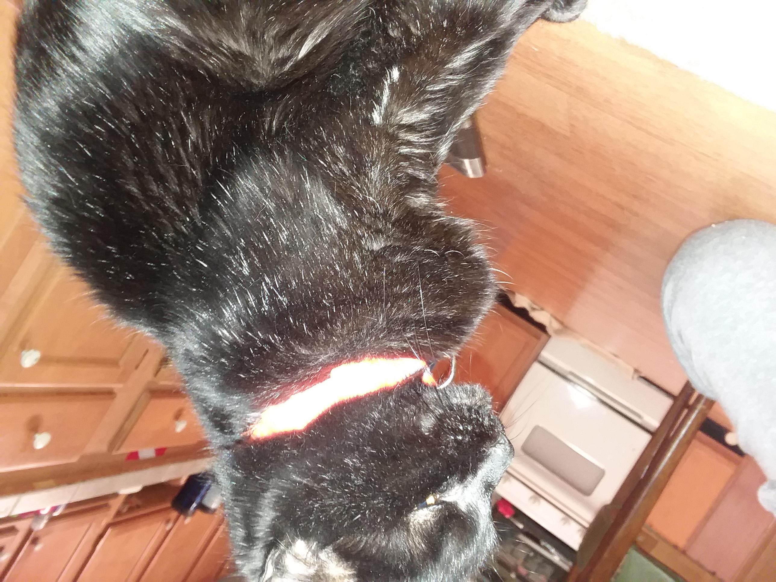 Question details sensitive content