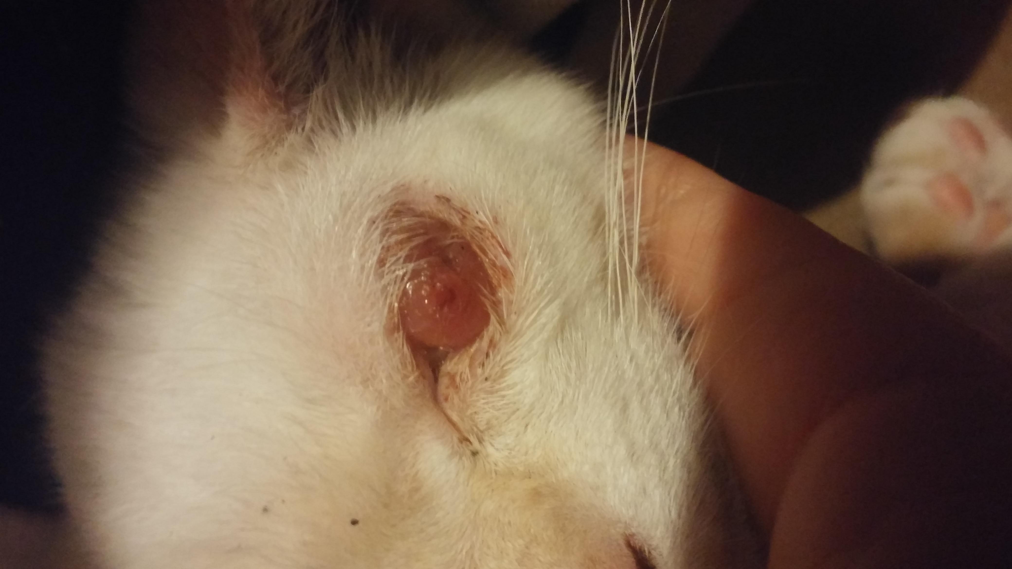 Question details sensitive content