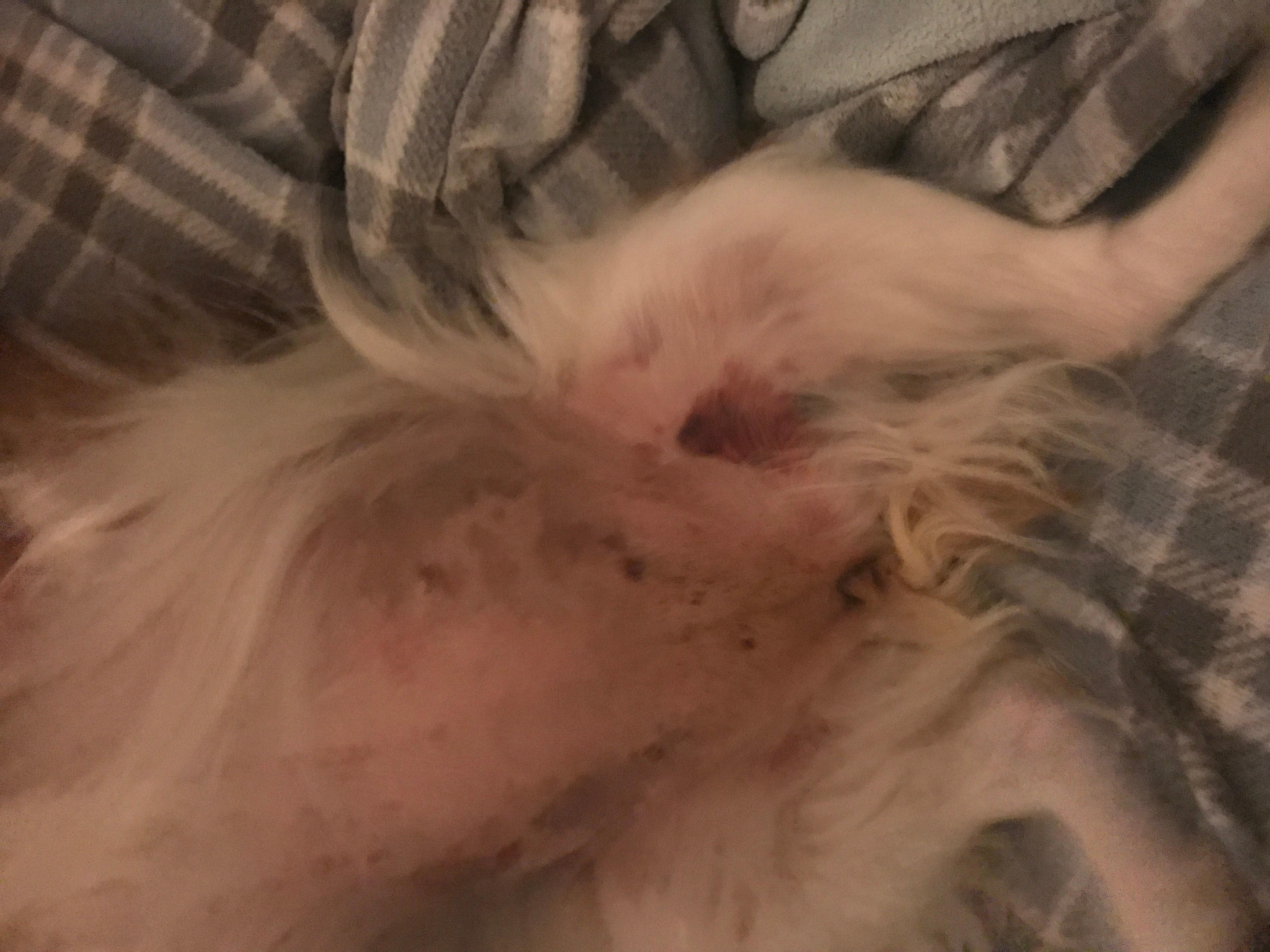 Question details sensitive content