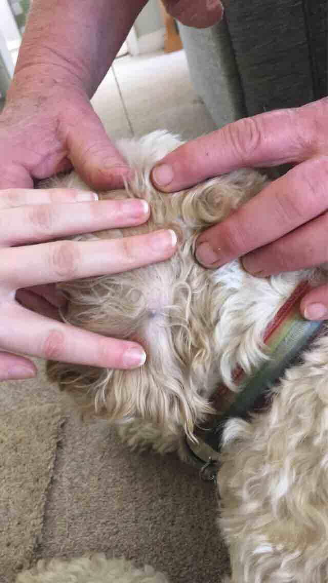 Question details sensitive content