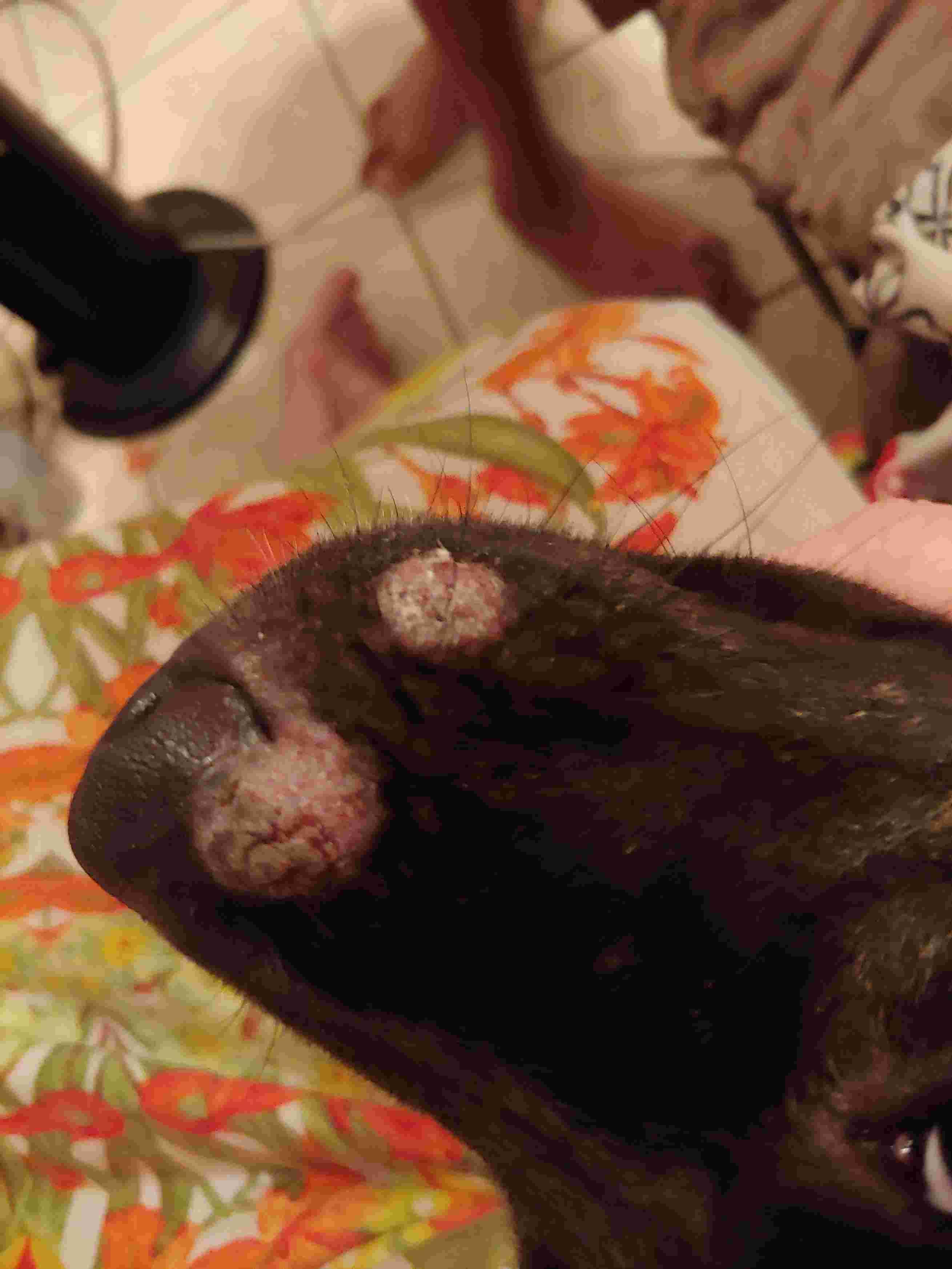 Question details sensitive content