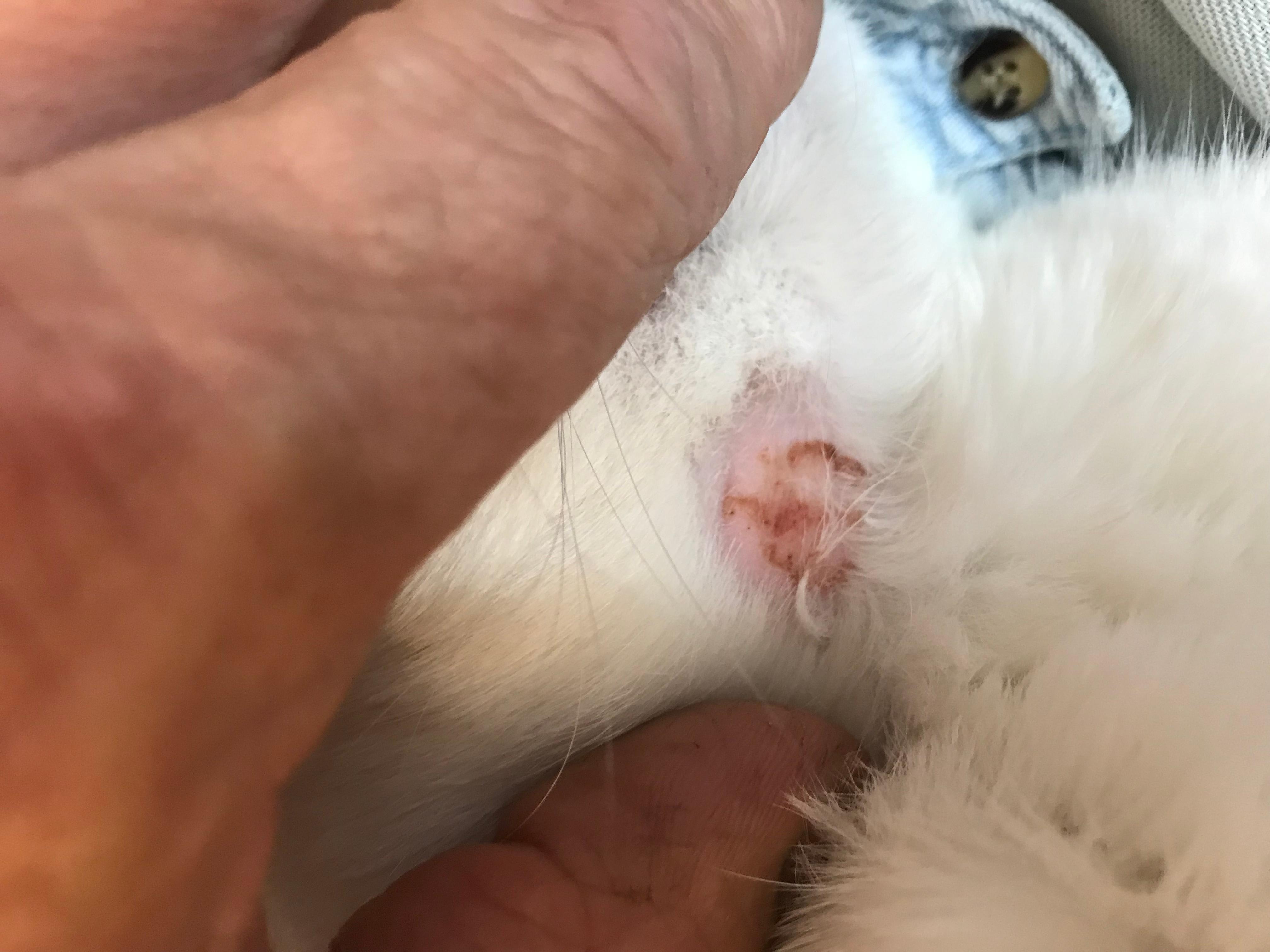 Question details sensitive content