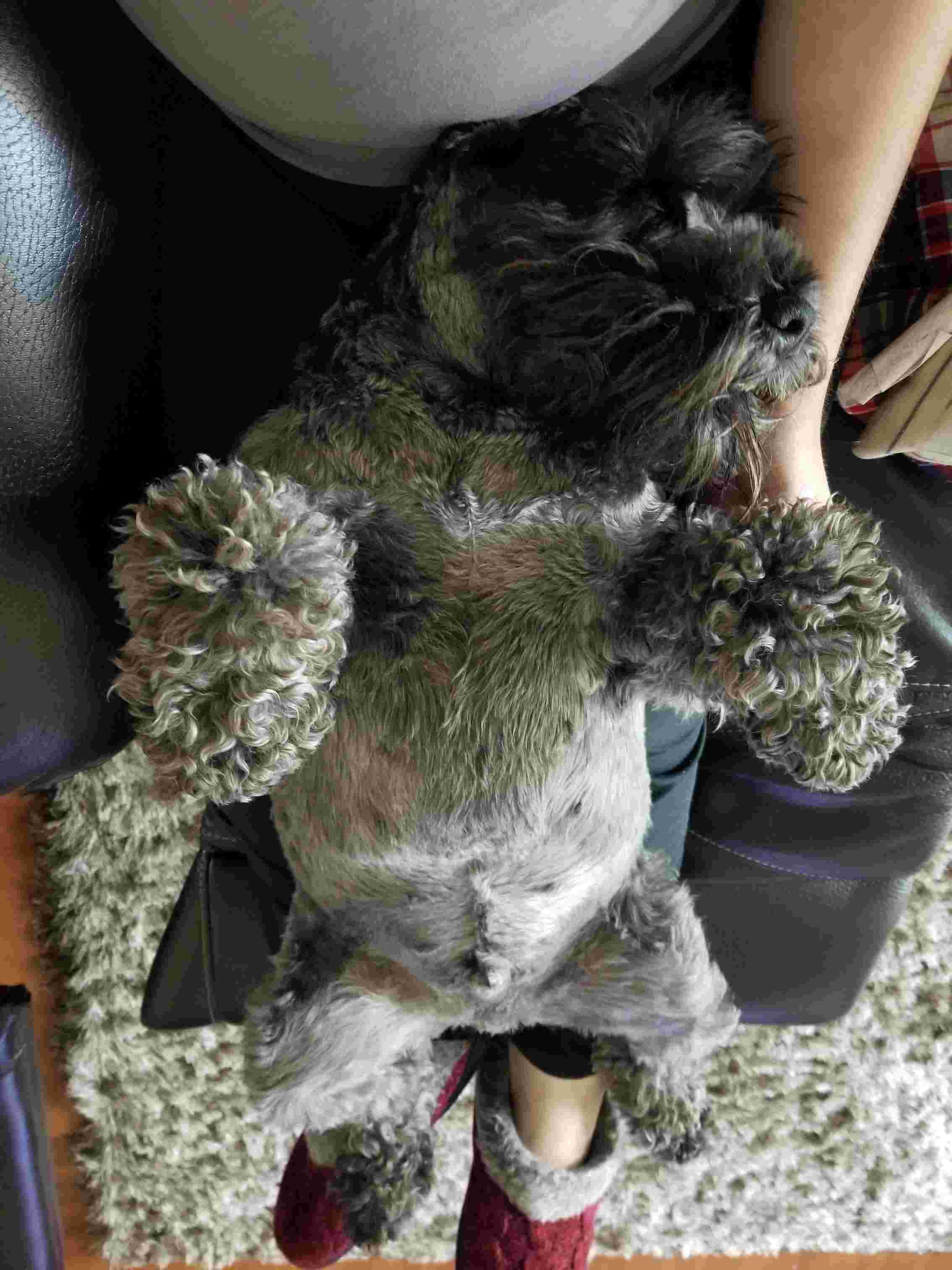 Question details sensitive content