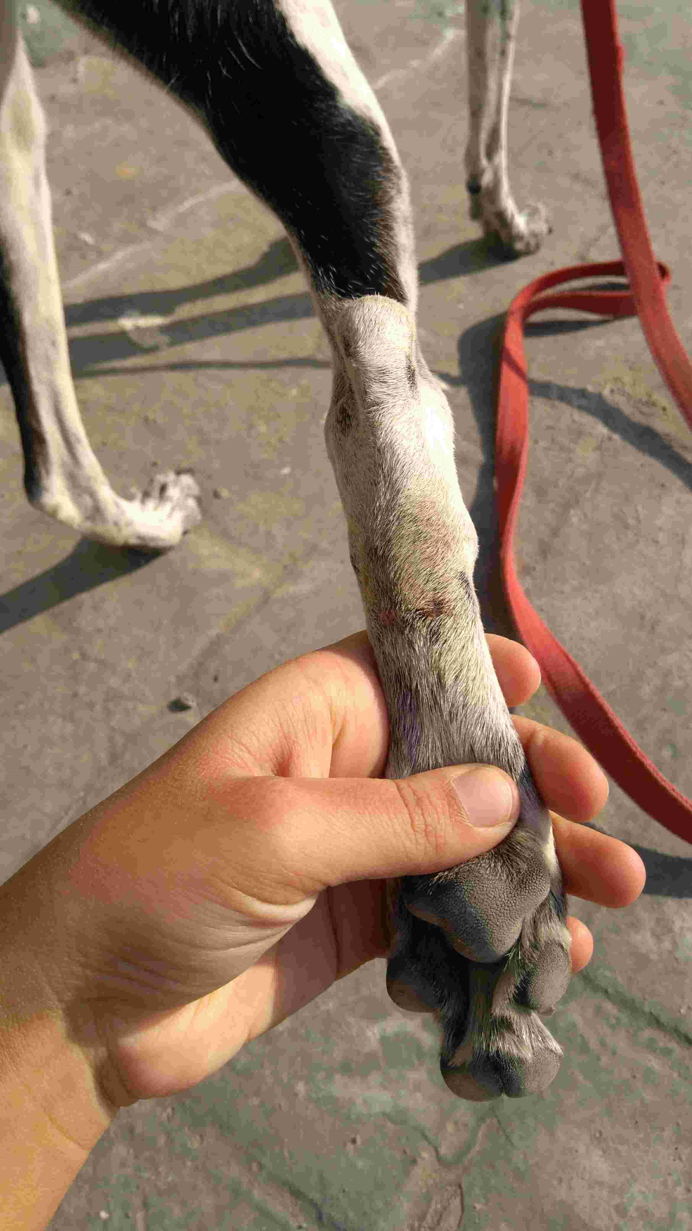 Question details sensitive content