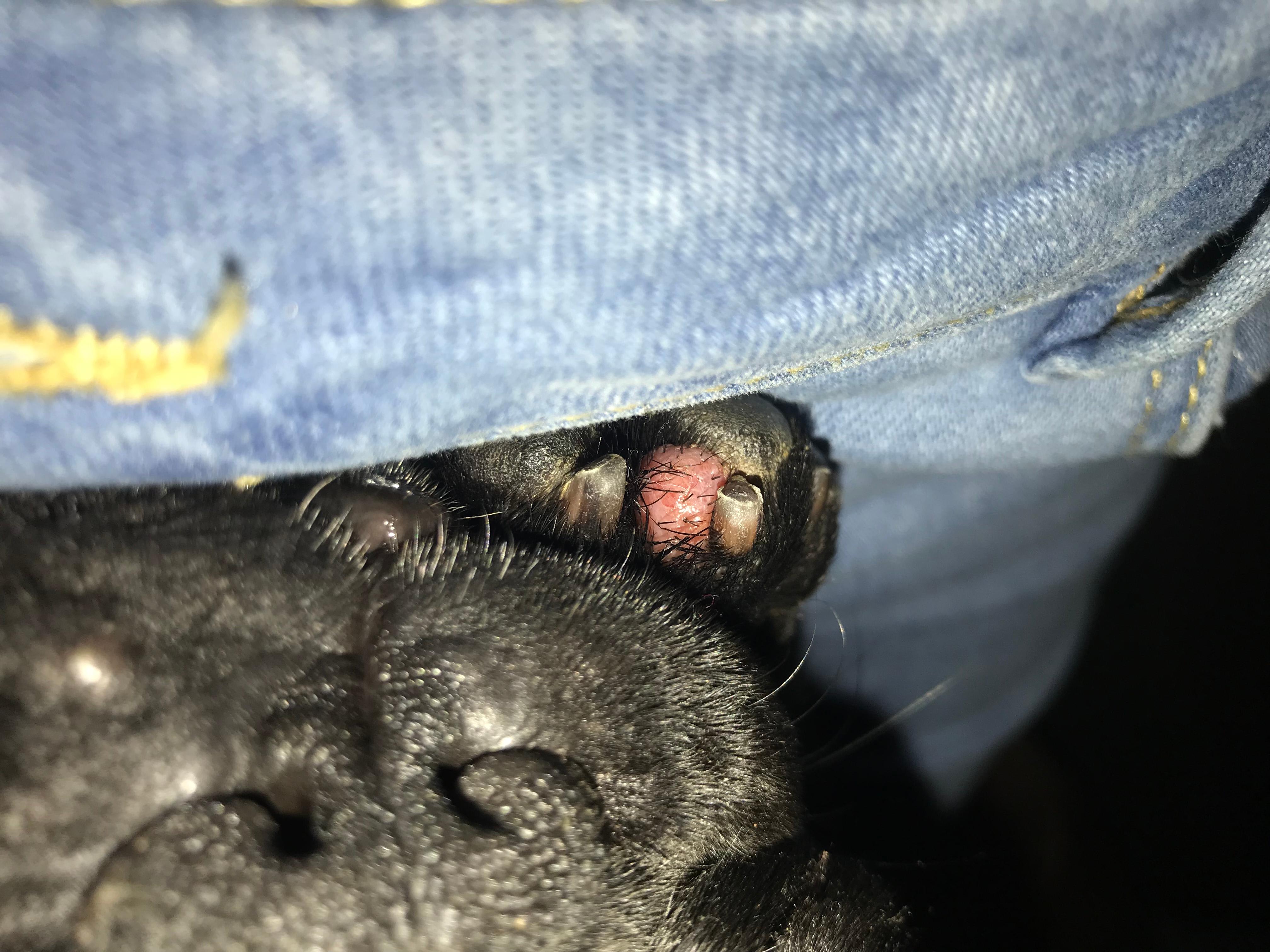 Question details sensitive content