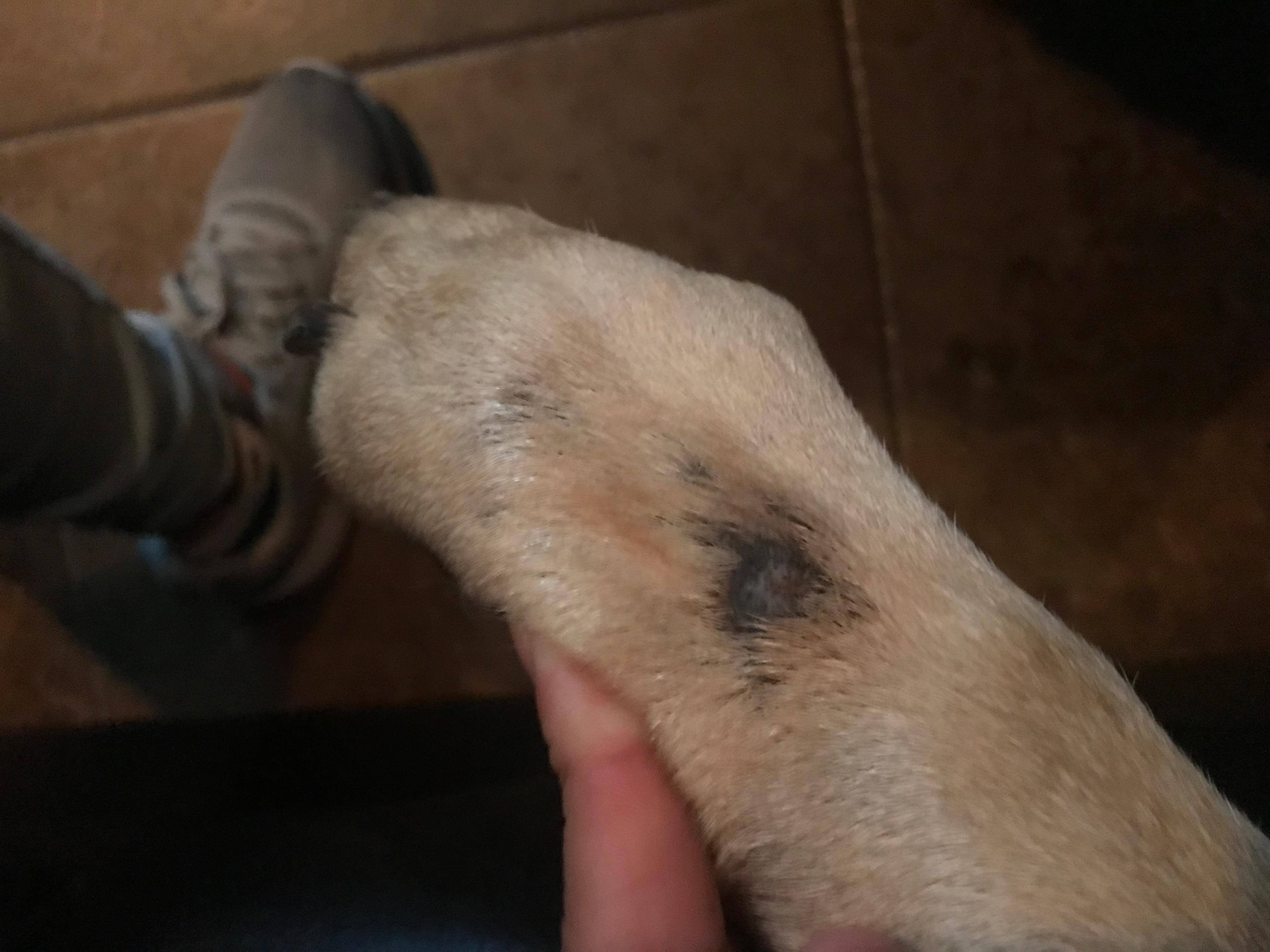 Question details sensitive content