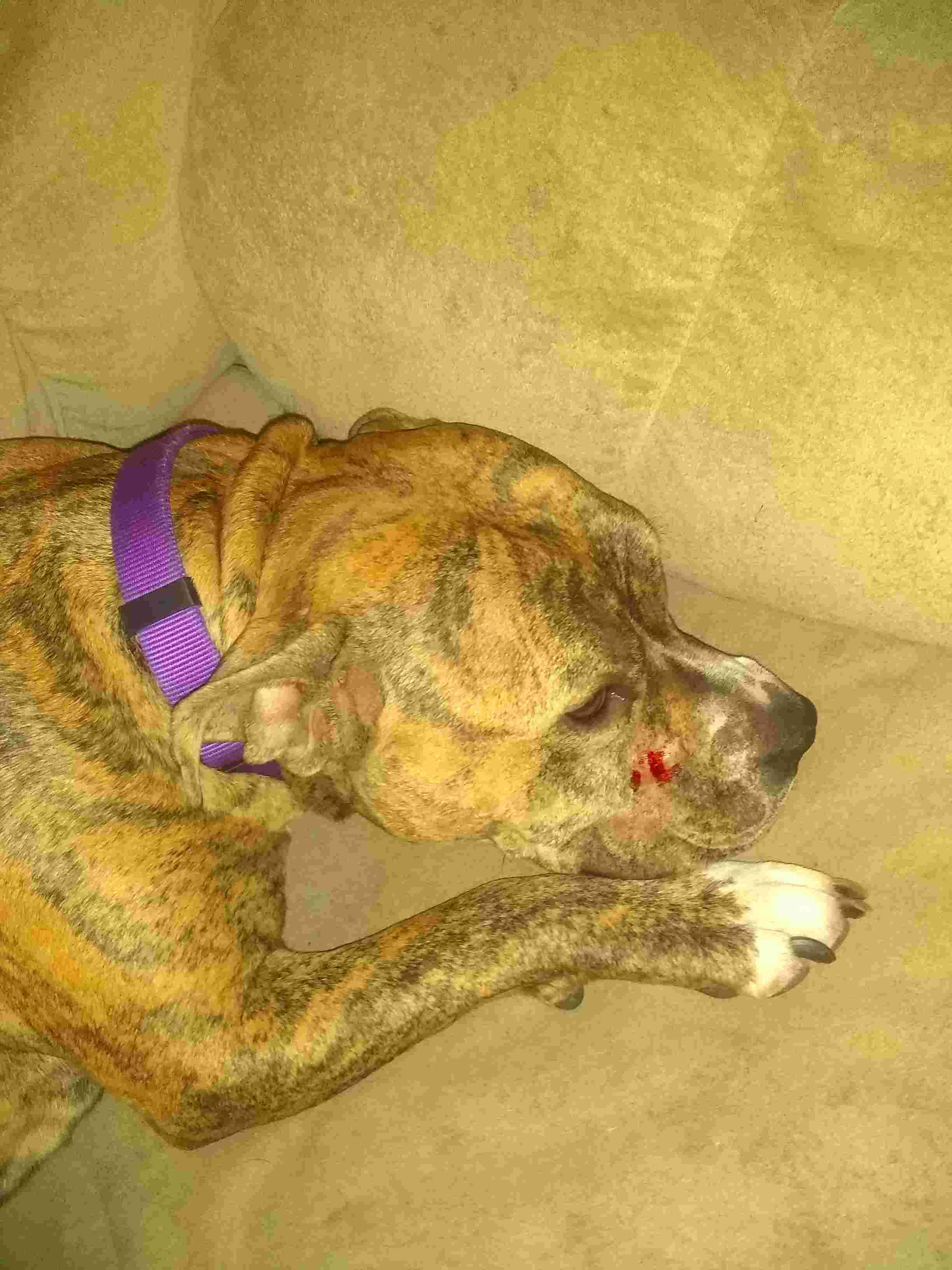 Question details sensitive content