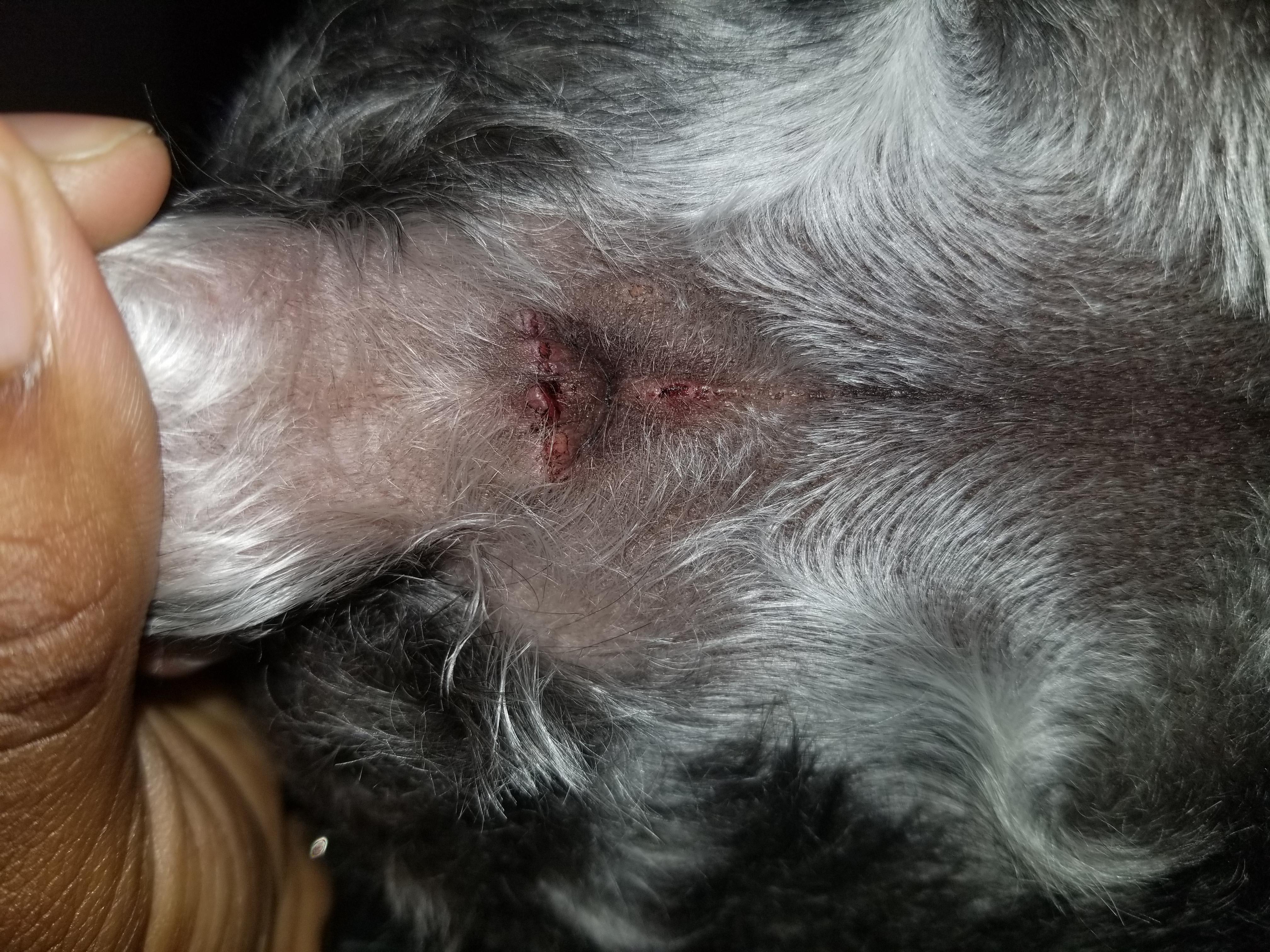 Question details sensitive content