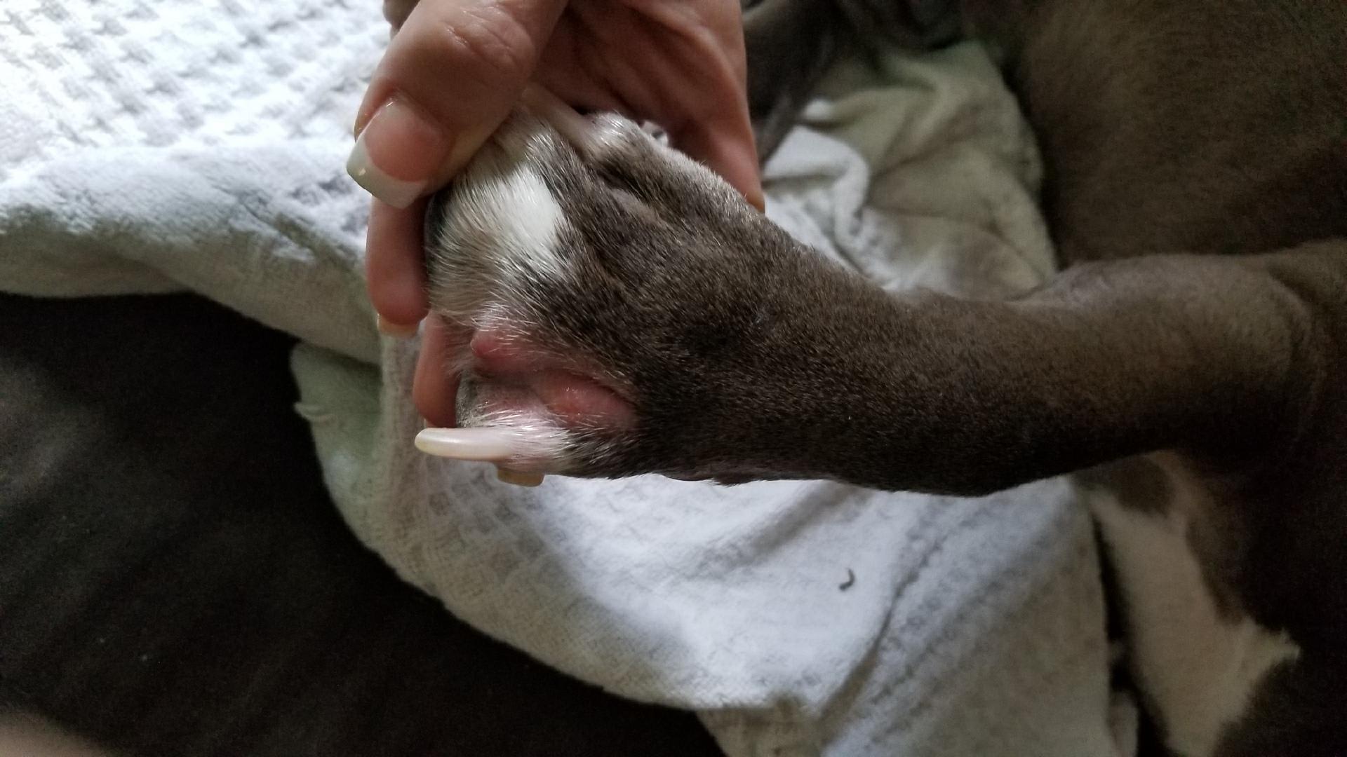 Question details sensitive content