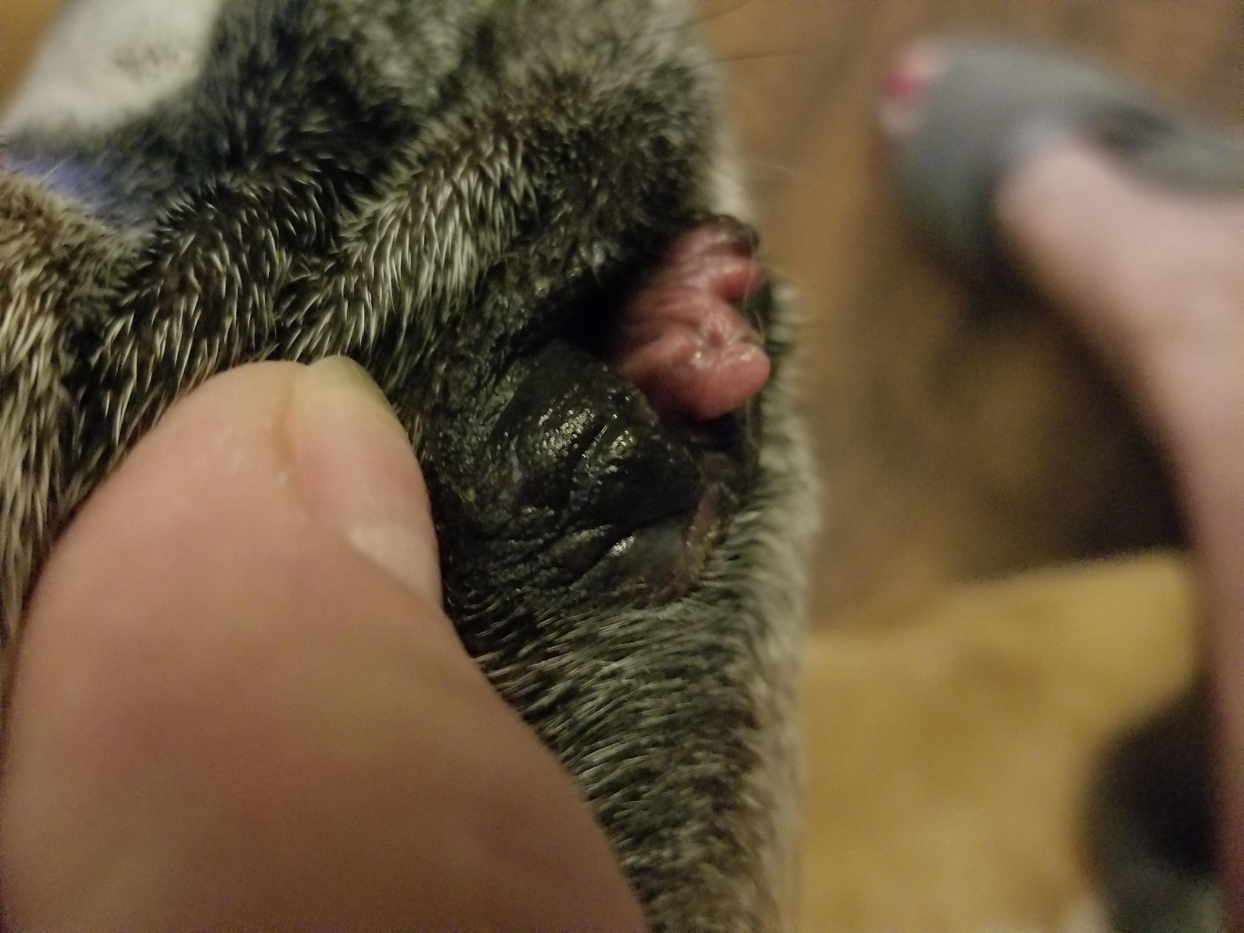 Question details sensitive content