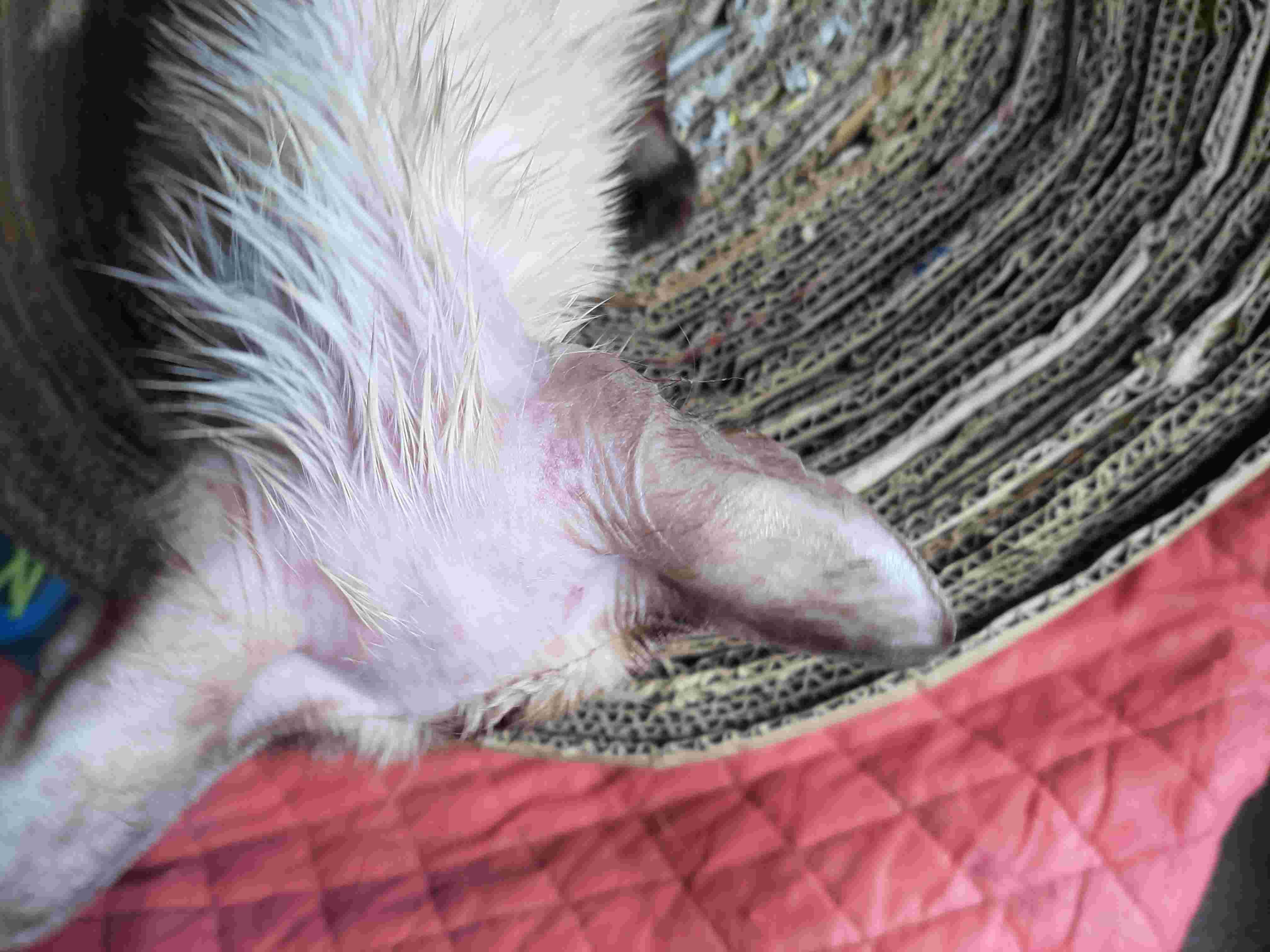 Question details sensitive content