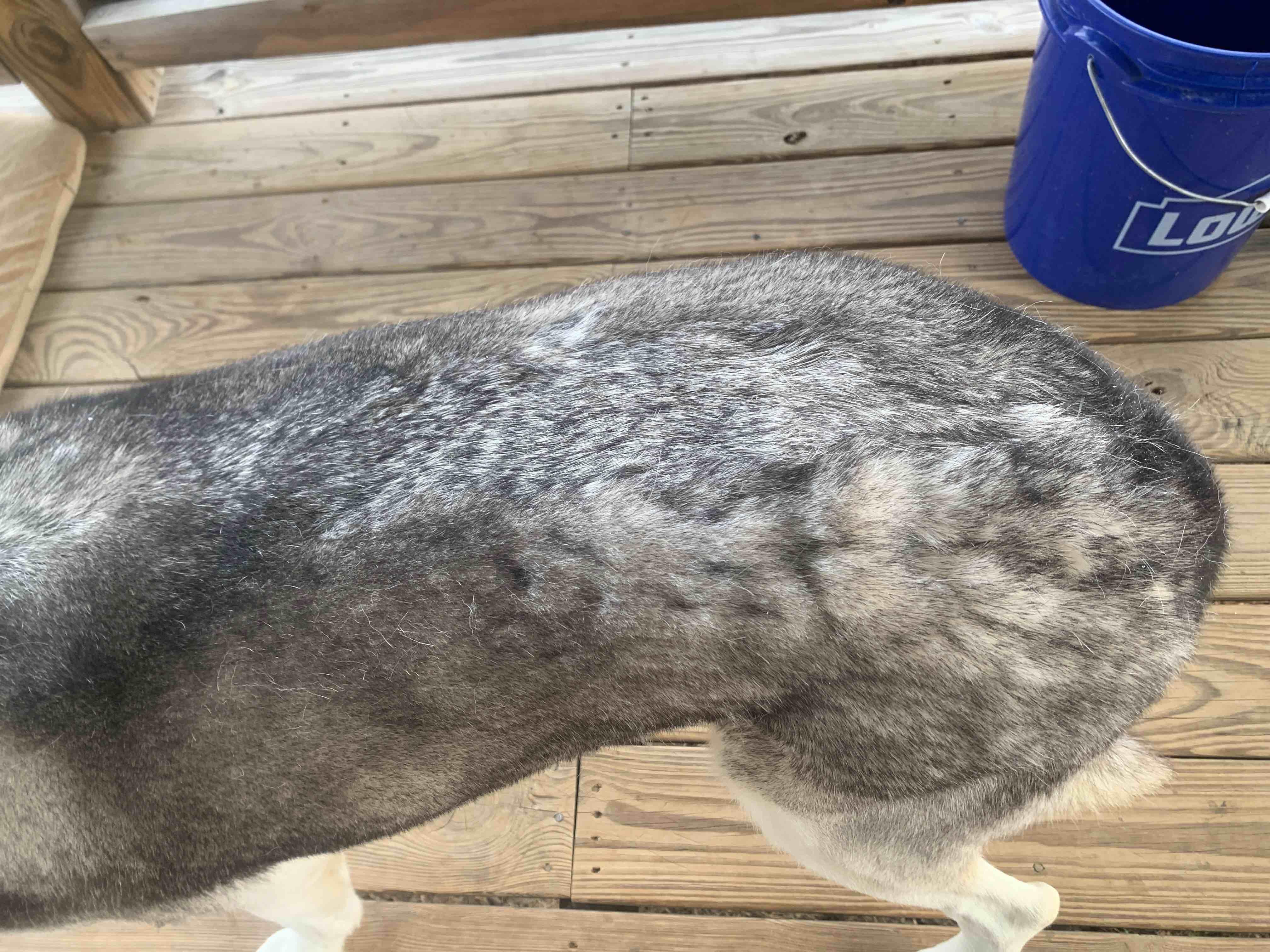 Question details sensitive content