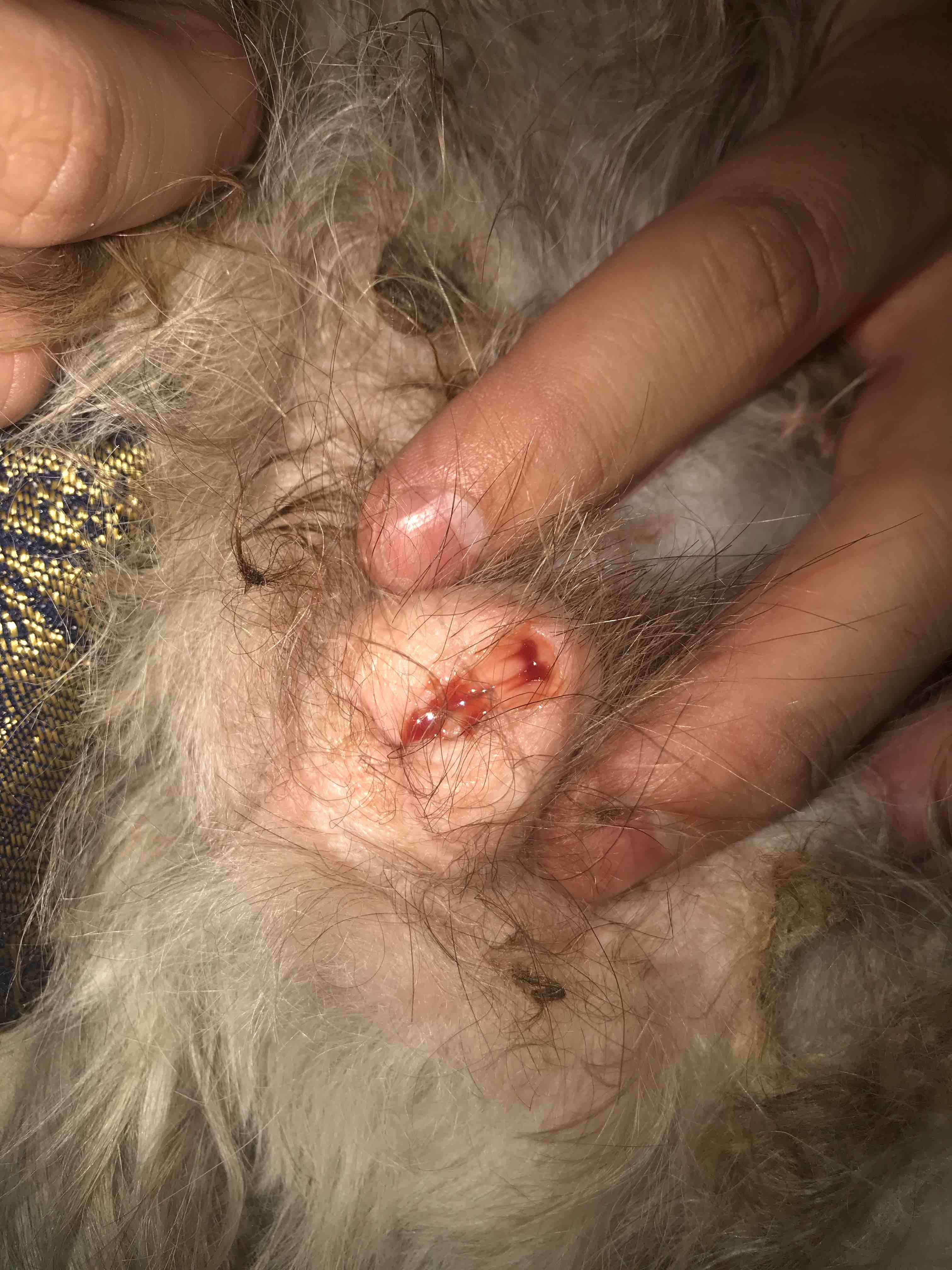 Question details sensitive content