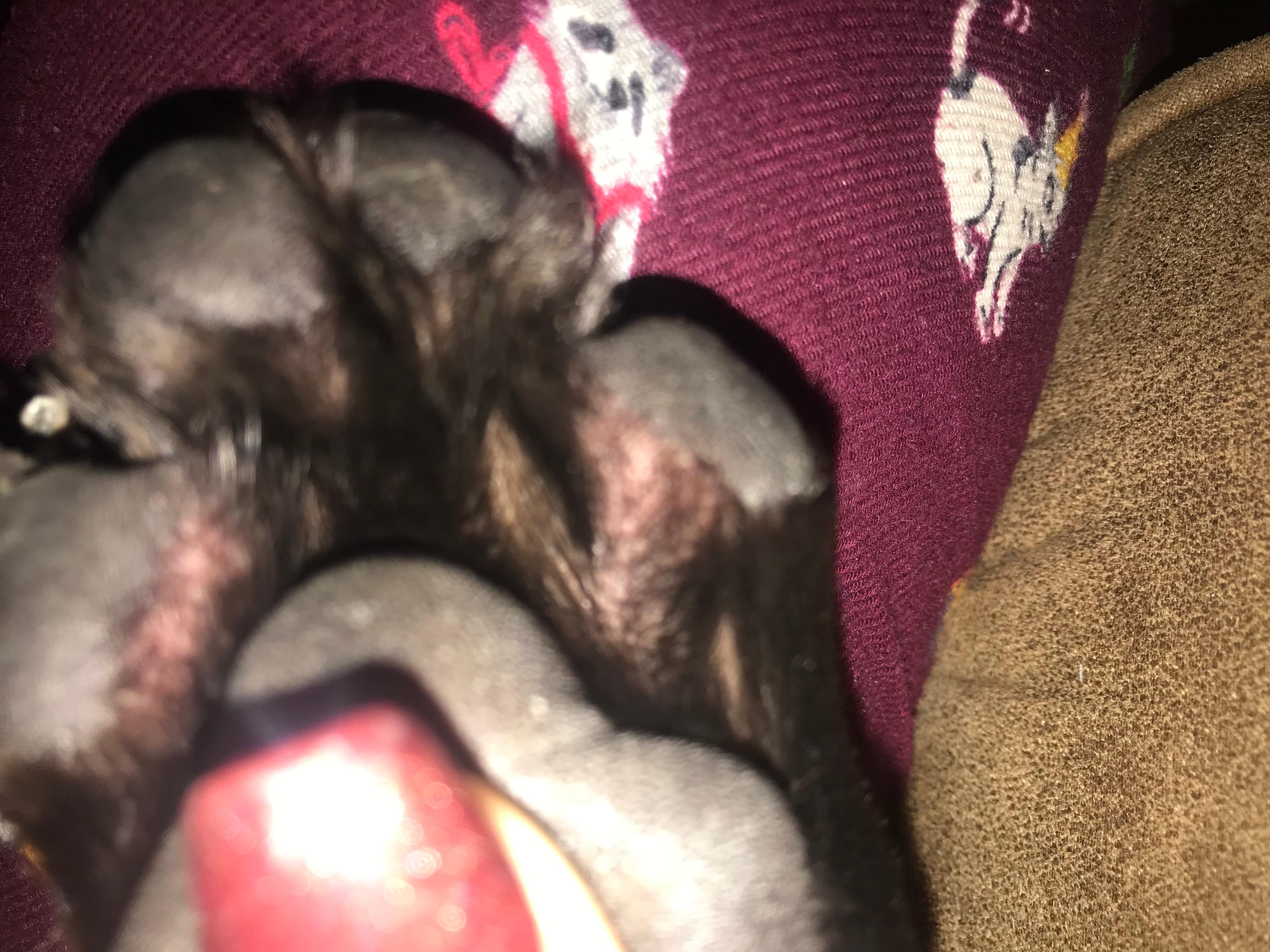 Question details sensitive content