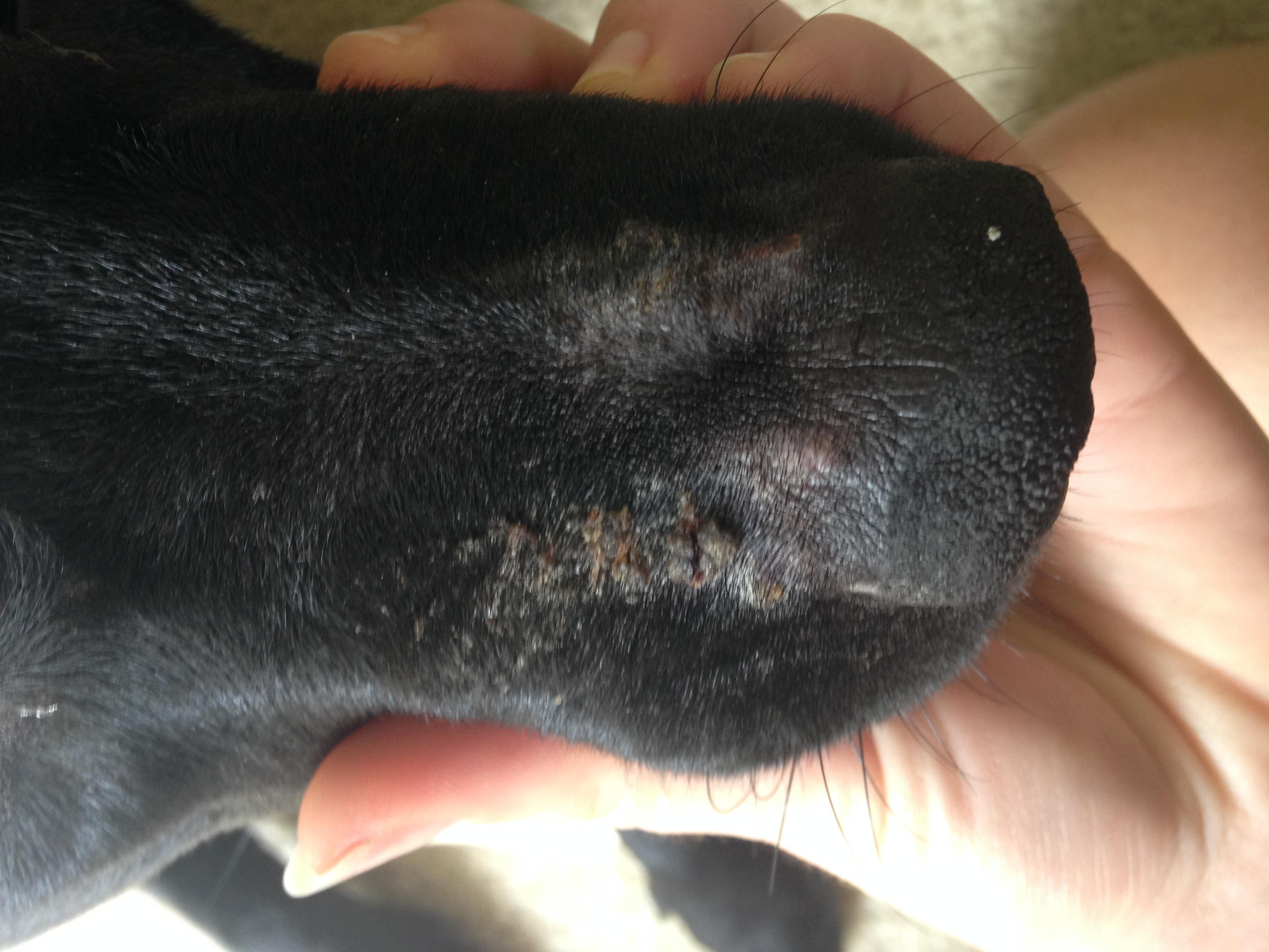 Question details sensitive content