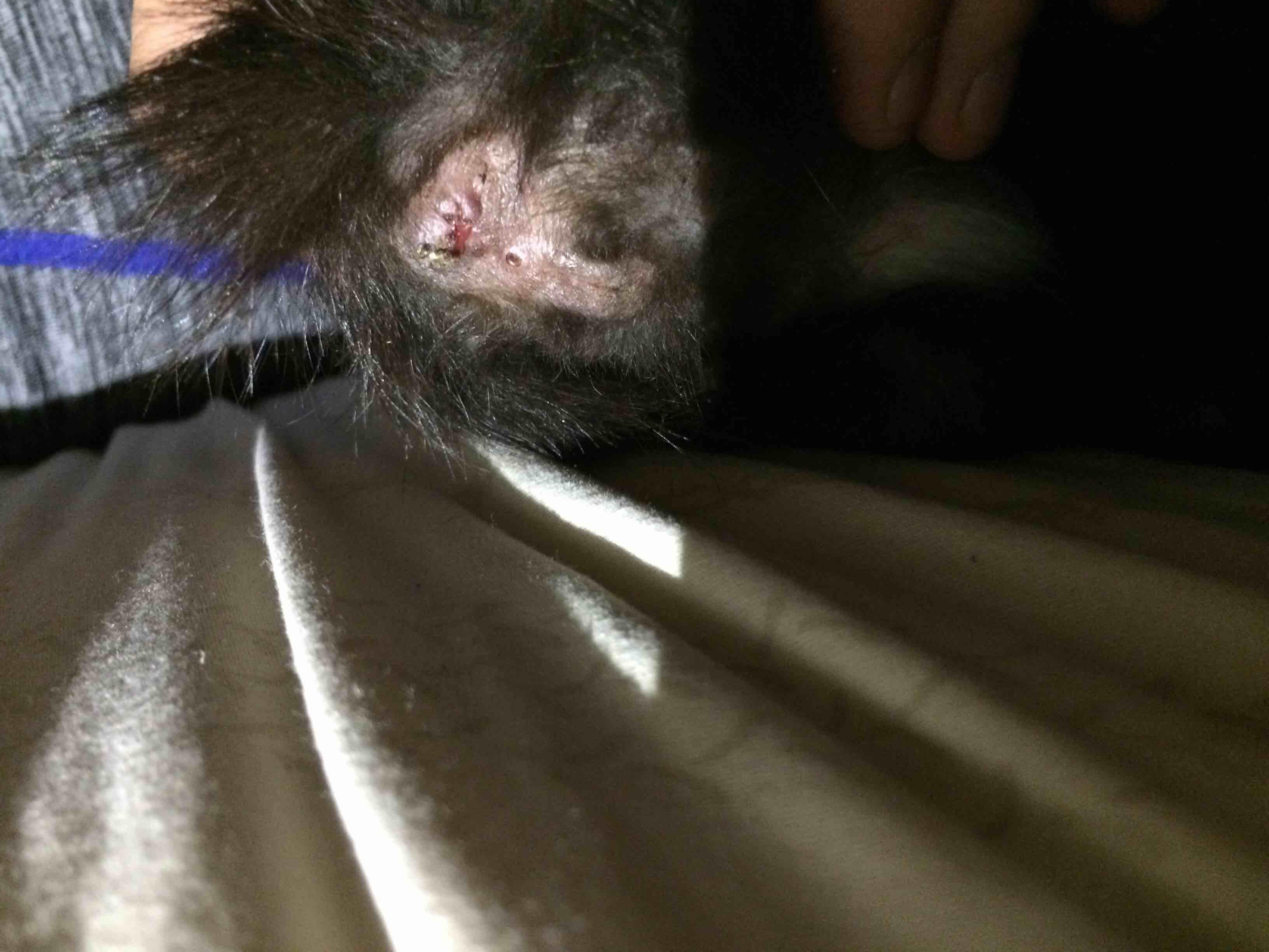 Question details sensitive content