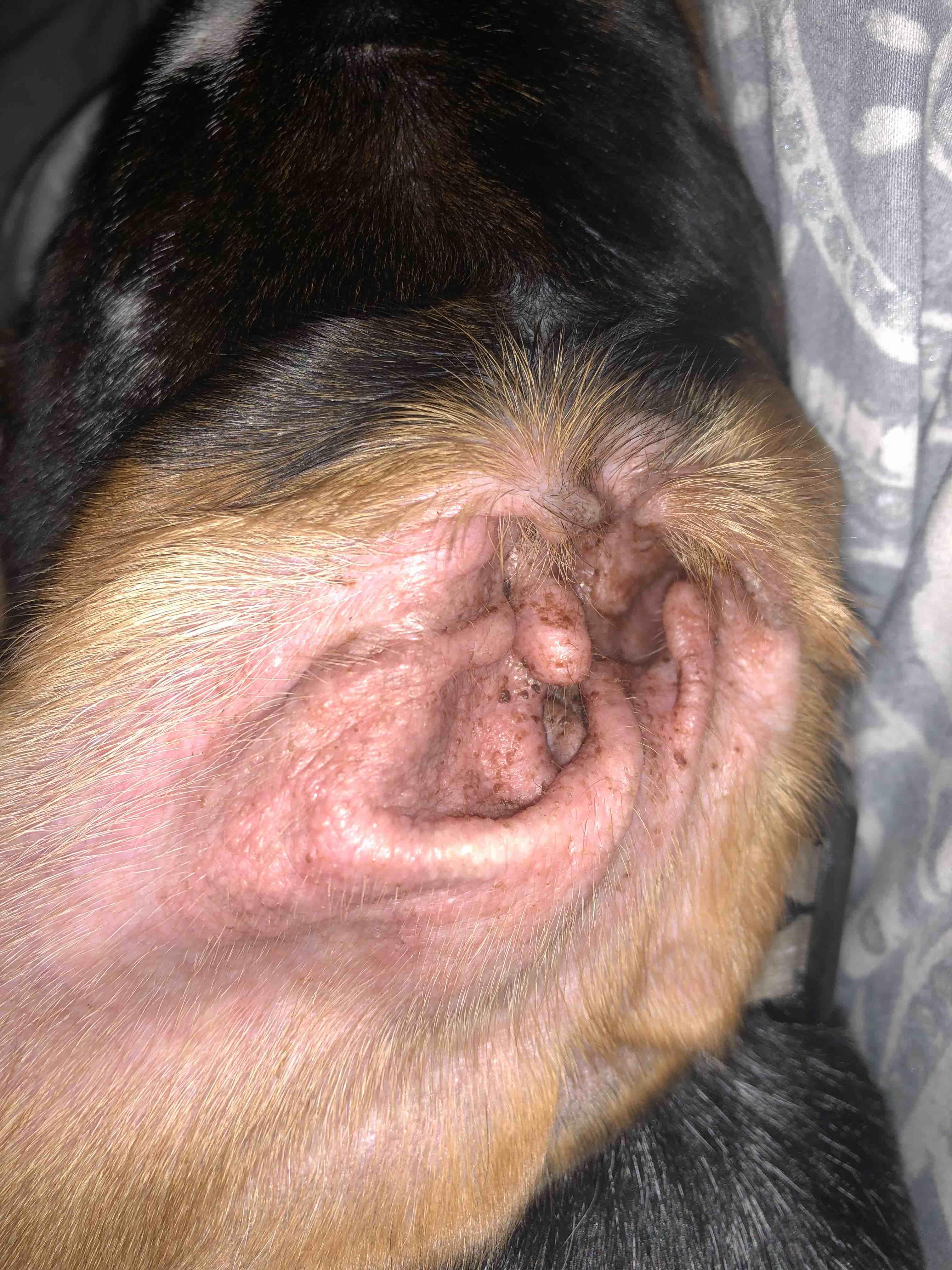 Question details sensitive content