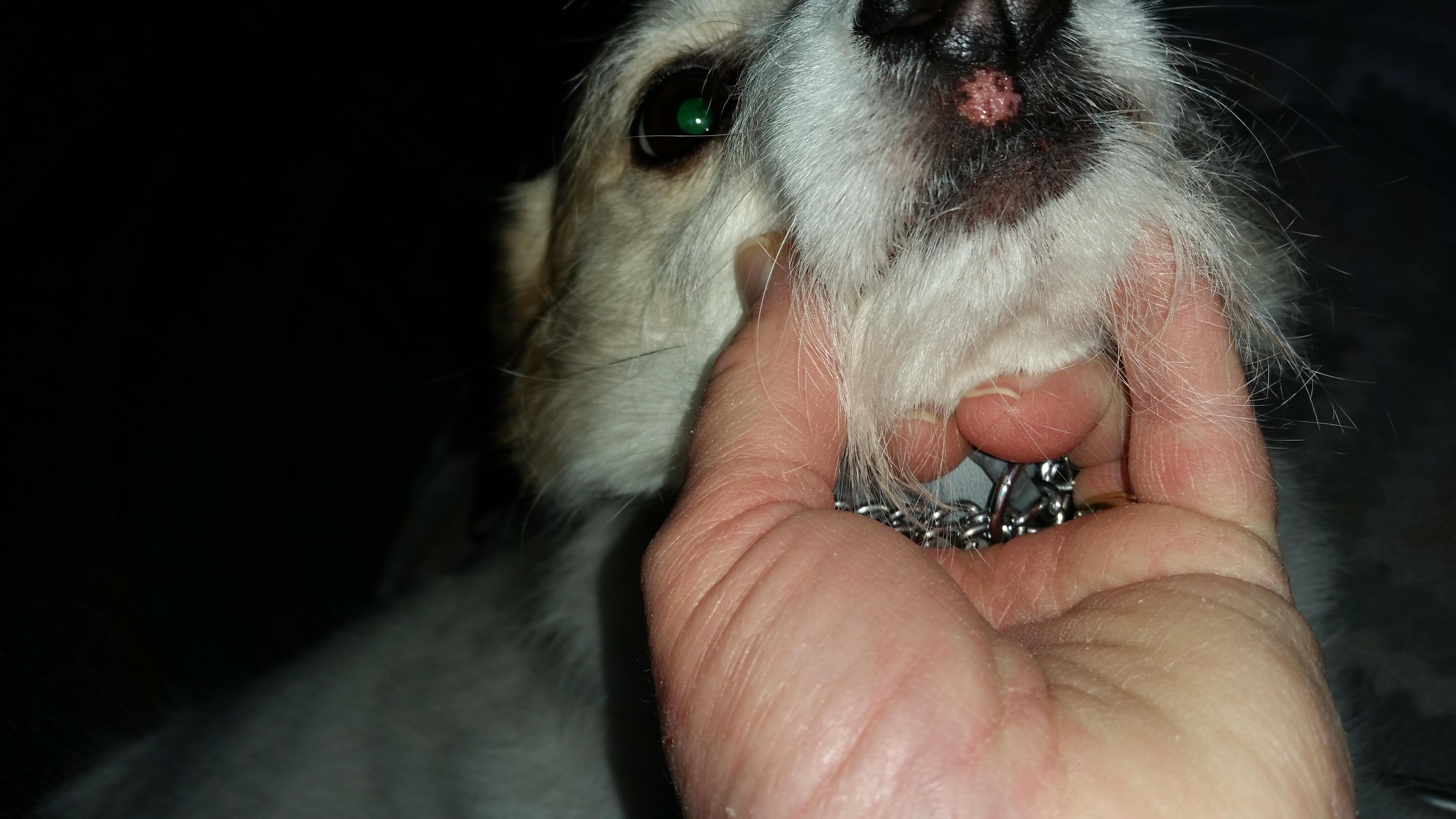 Question details sensitive content