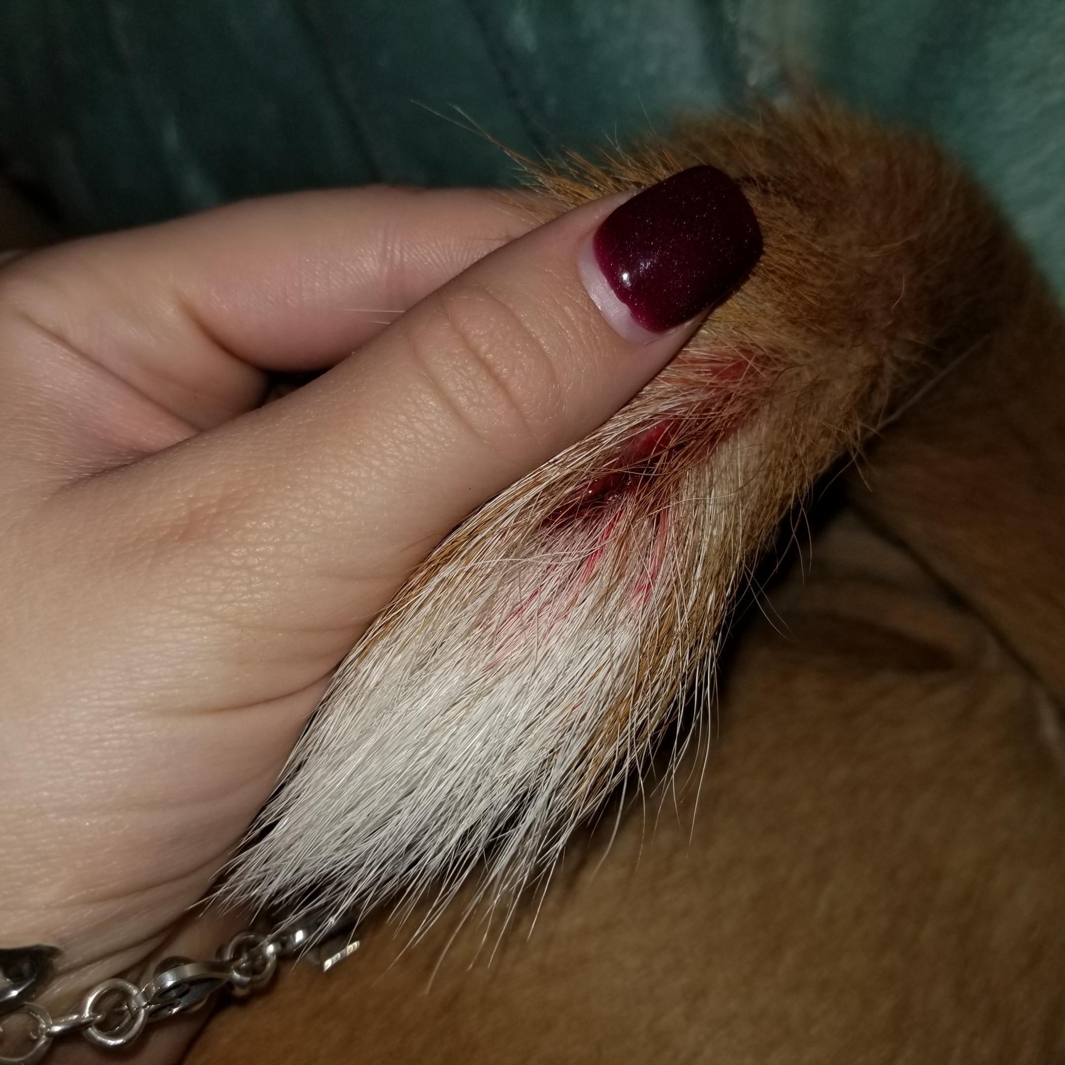 Question details sensitive content