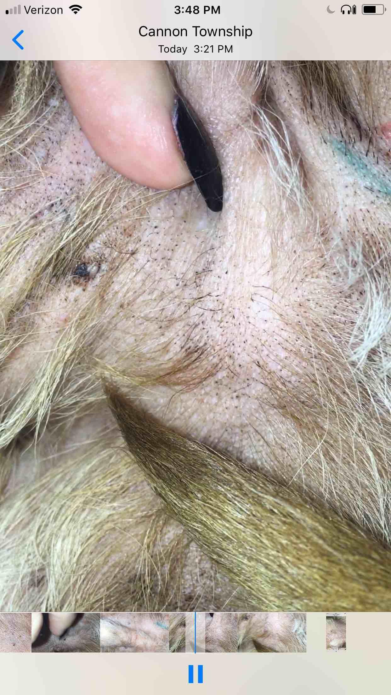 Question details sensitive content