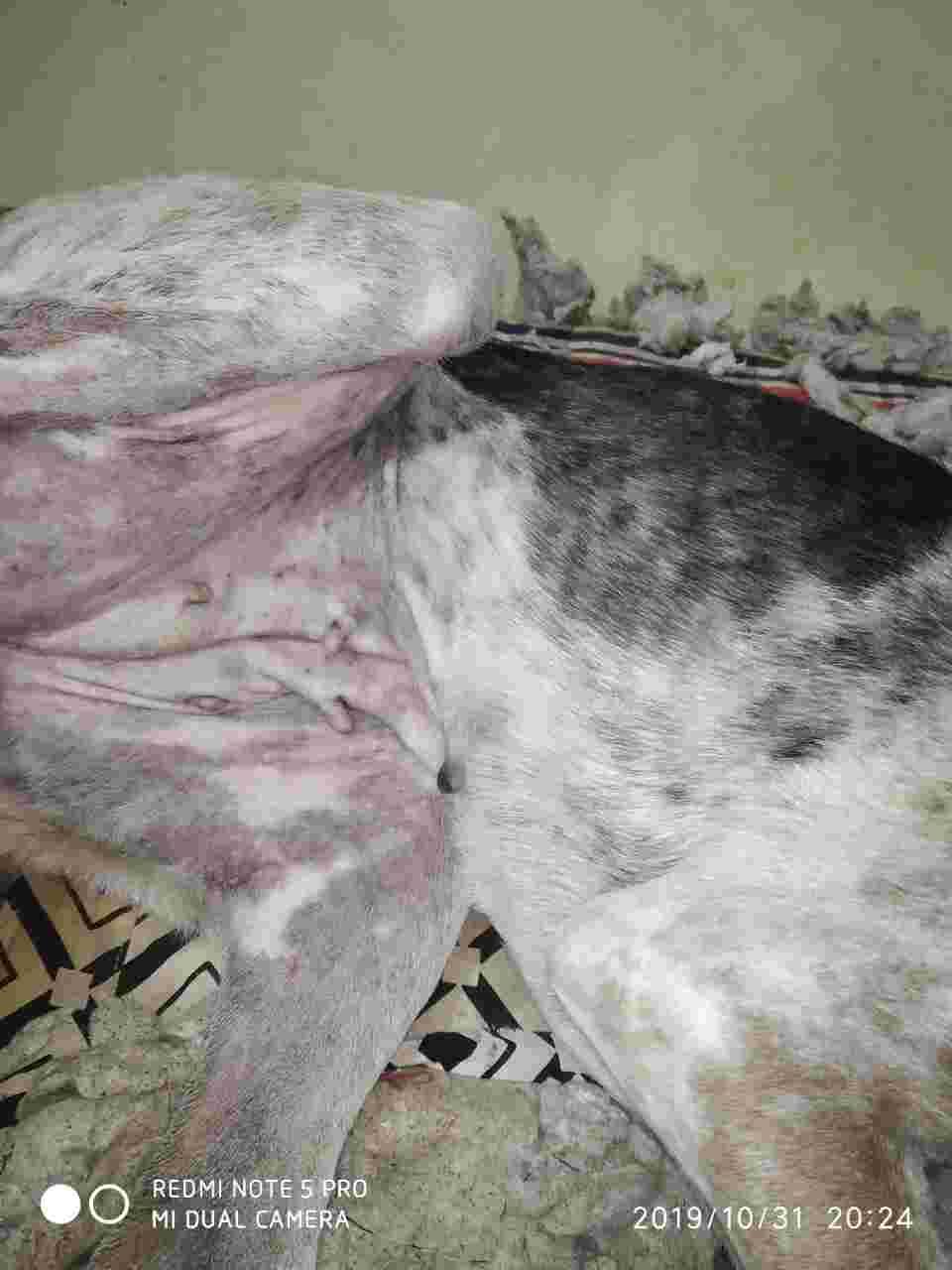 Question details sensitive content