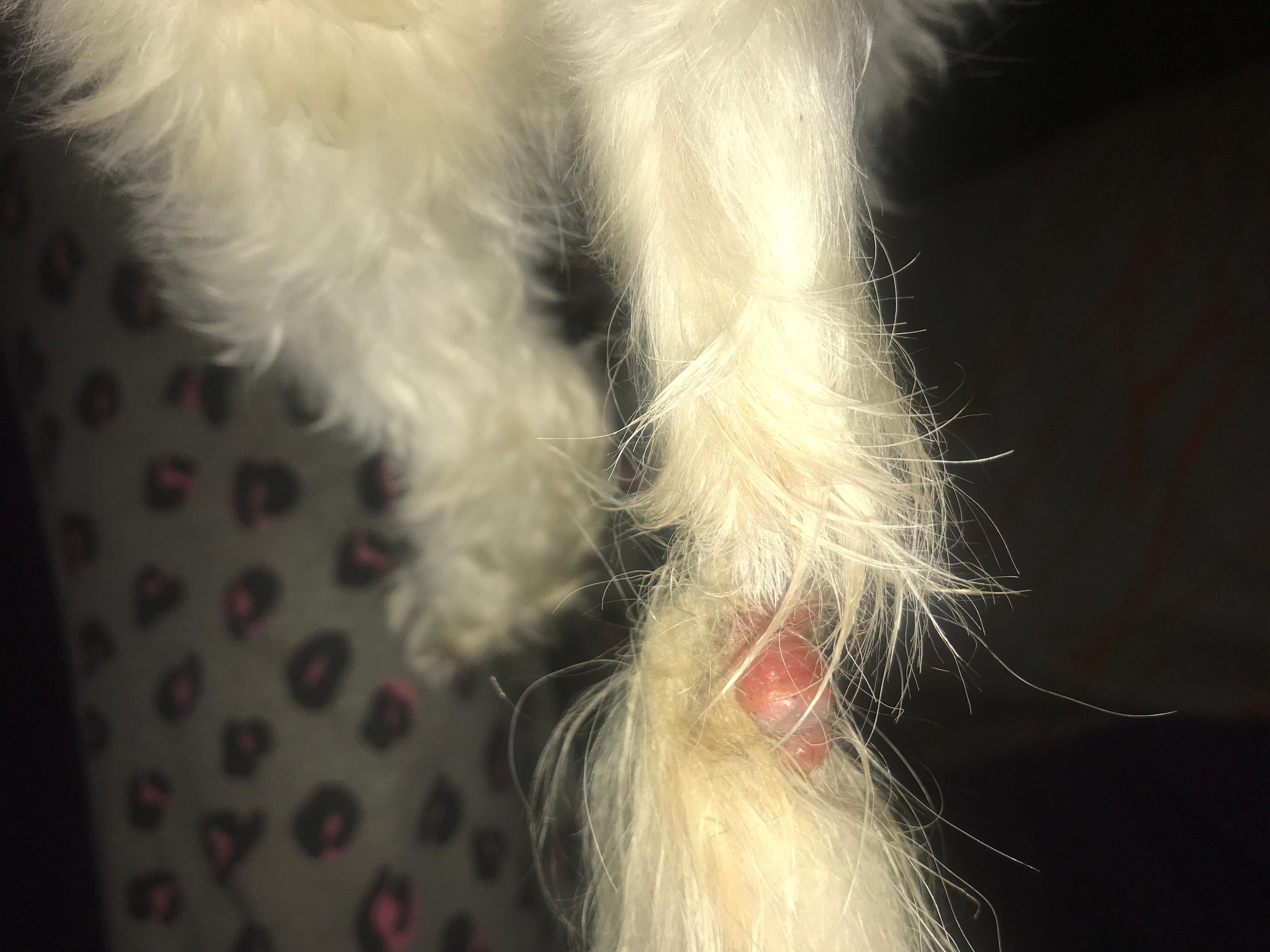 Question details sensitive content