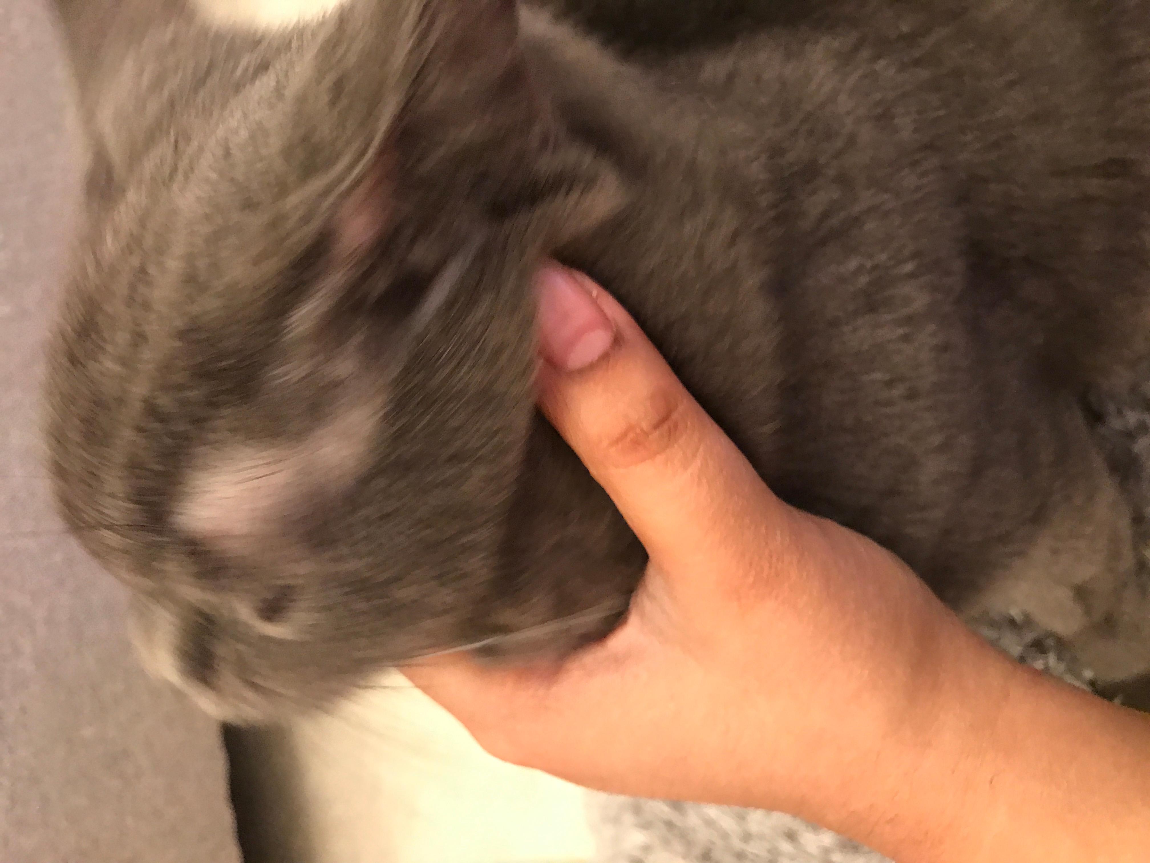 Question details sensitive content