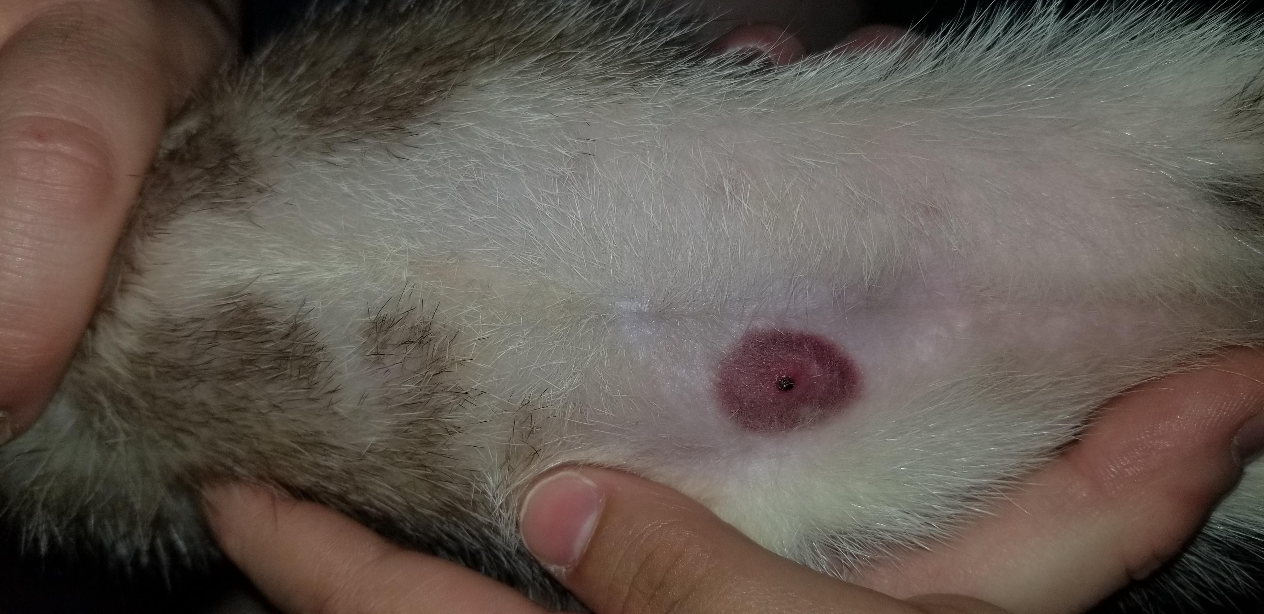 Question details sensitive content