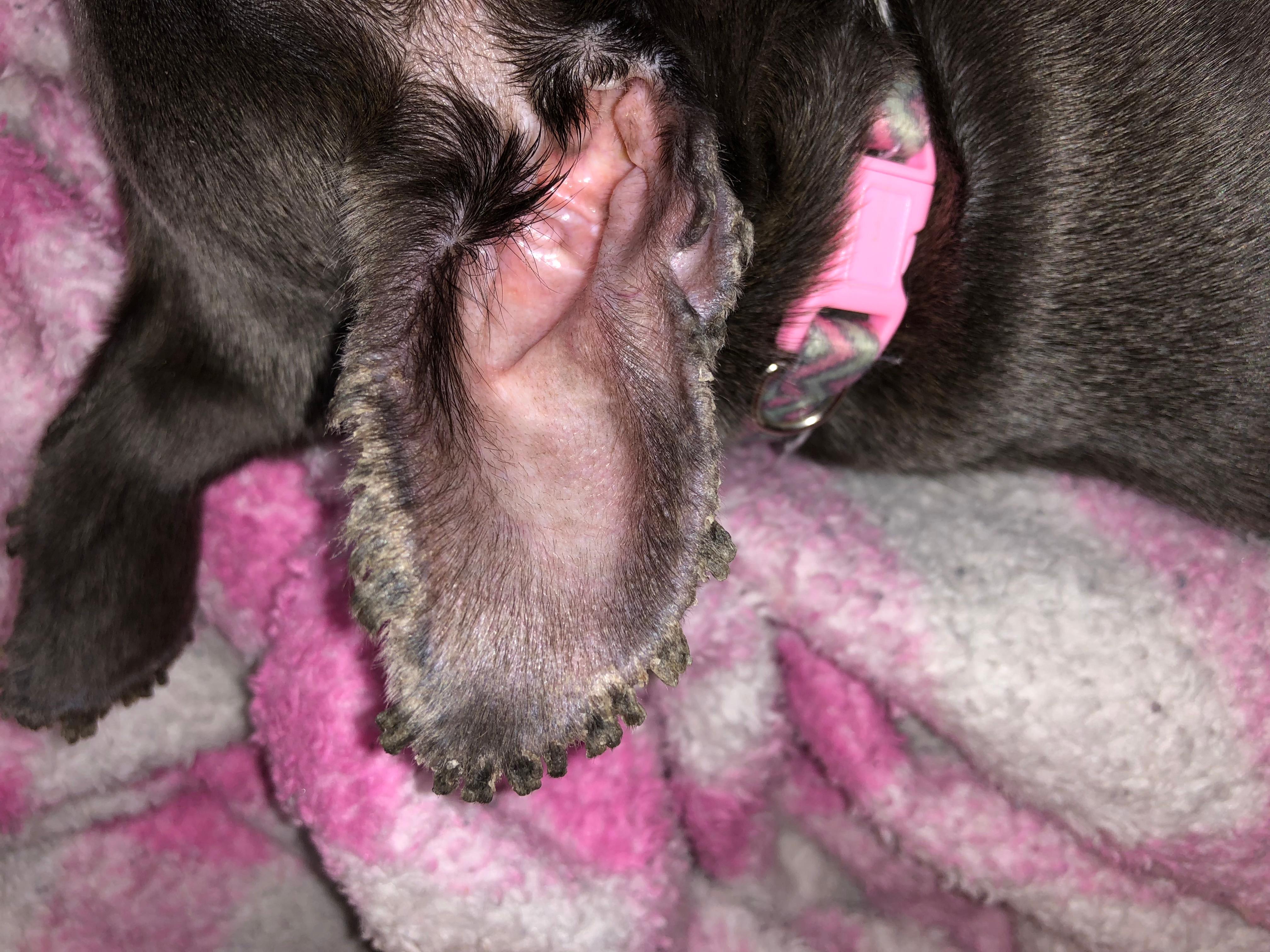 Question details sensitive content