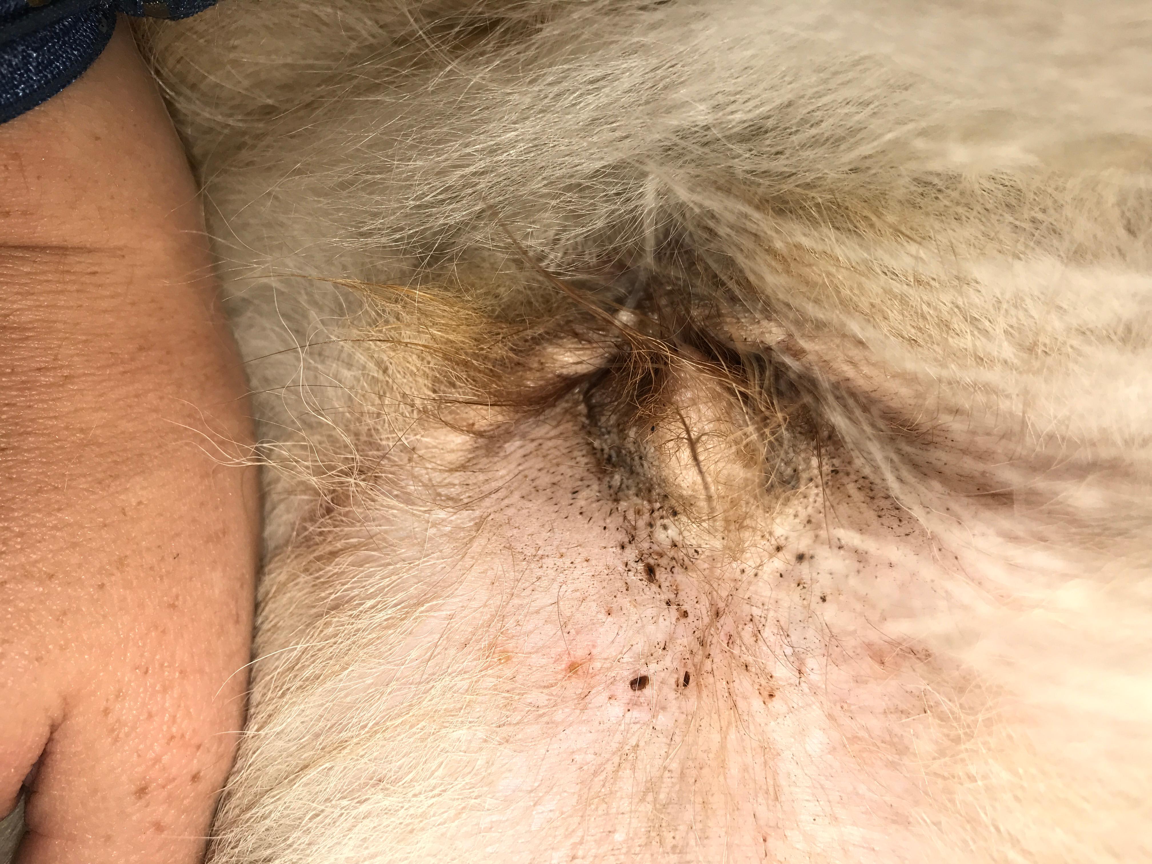 Question details sensitive content