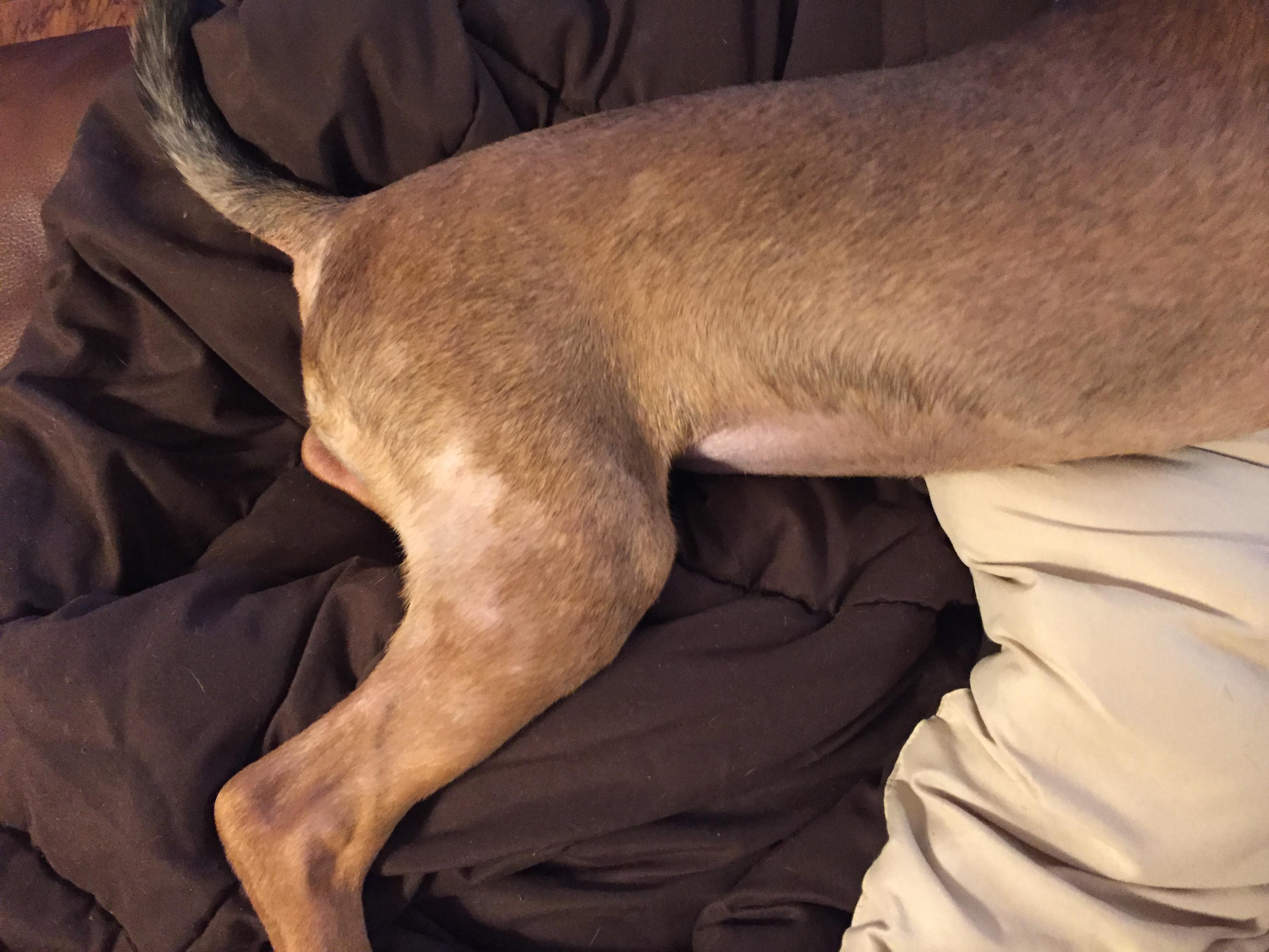 Question details sensitive content