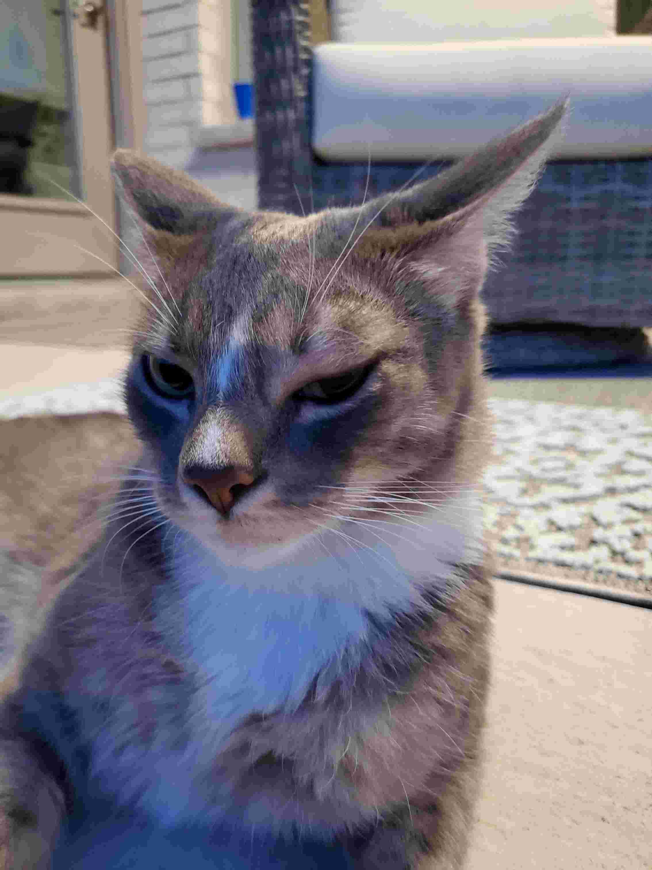 Question details sensitive content