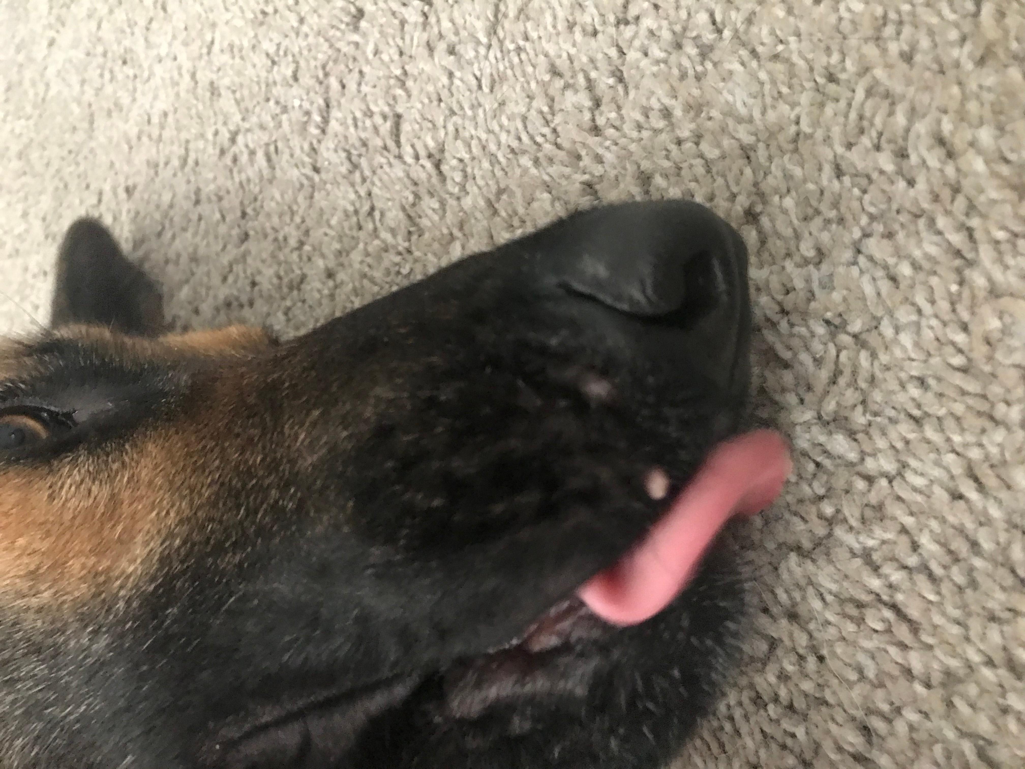 Question details sensitive content