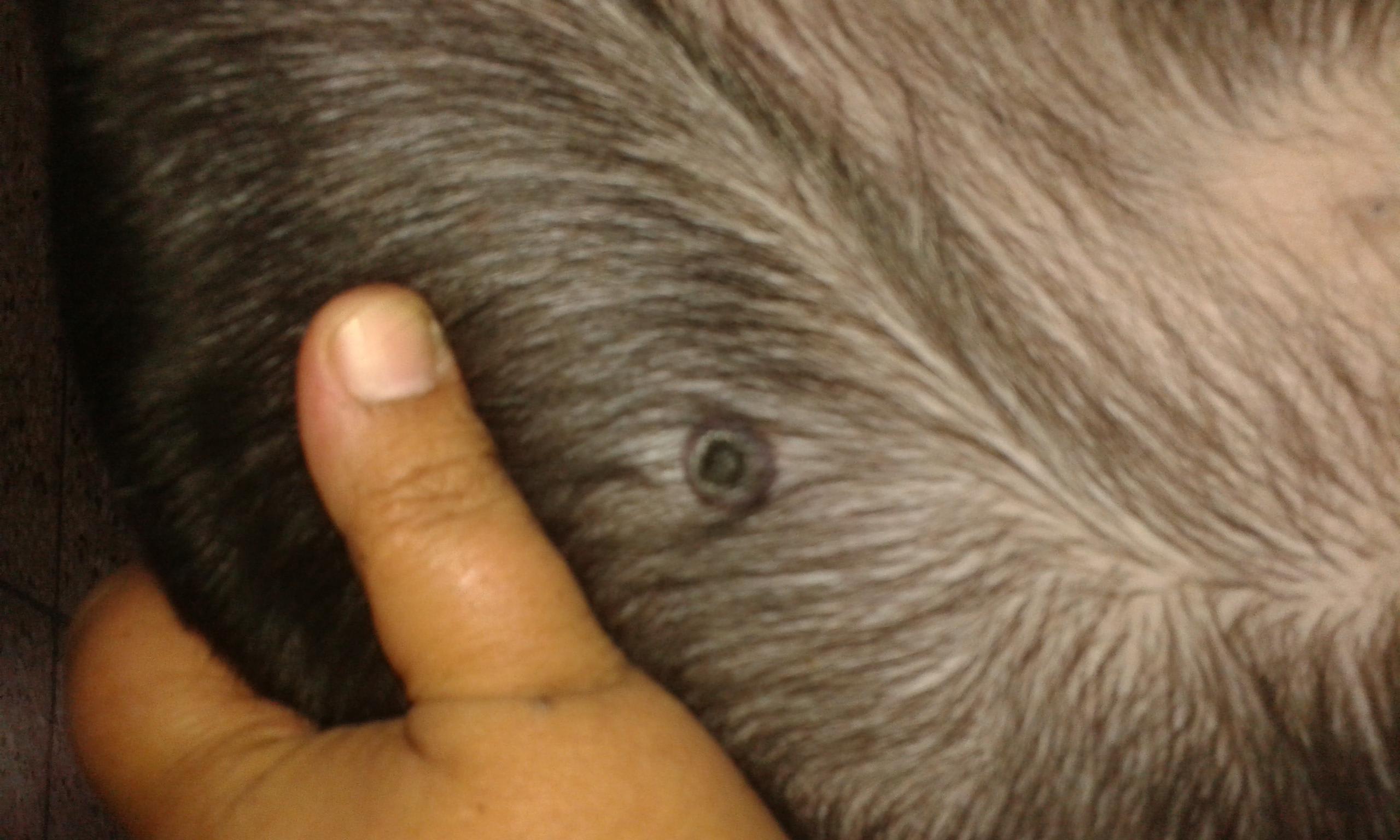 Question details sensitive content