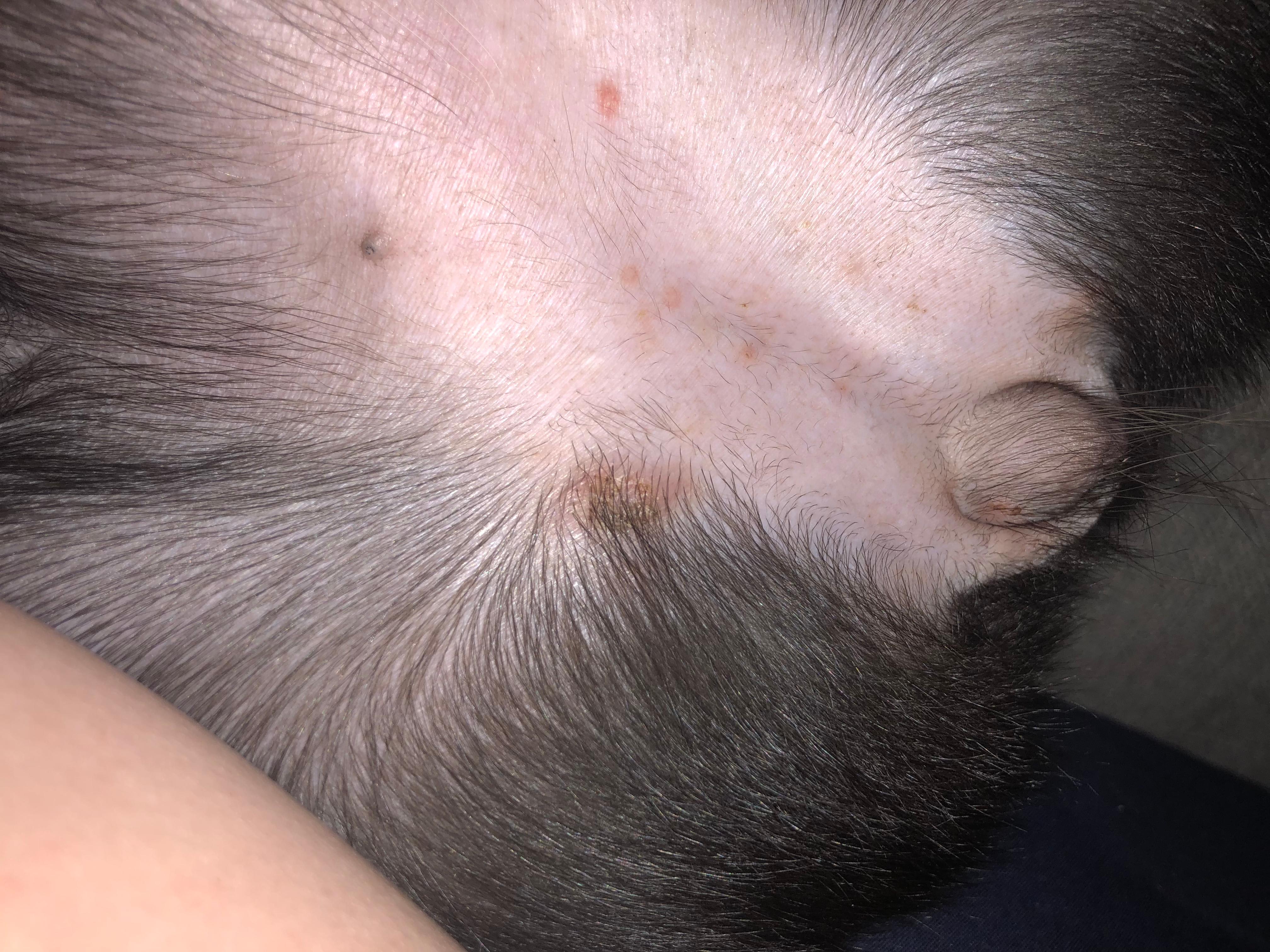 Question details sensitive content