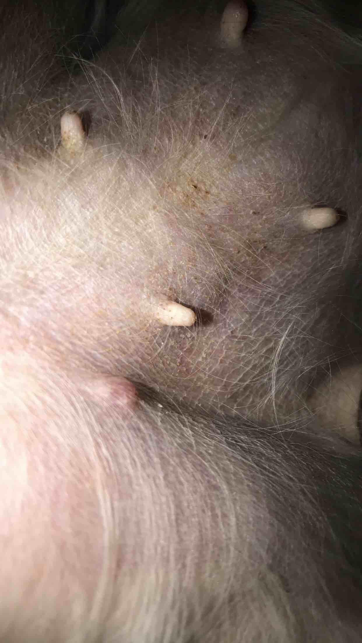 Question details sensitive content