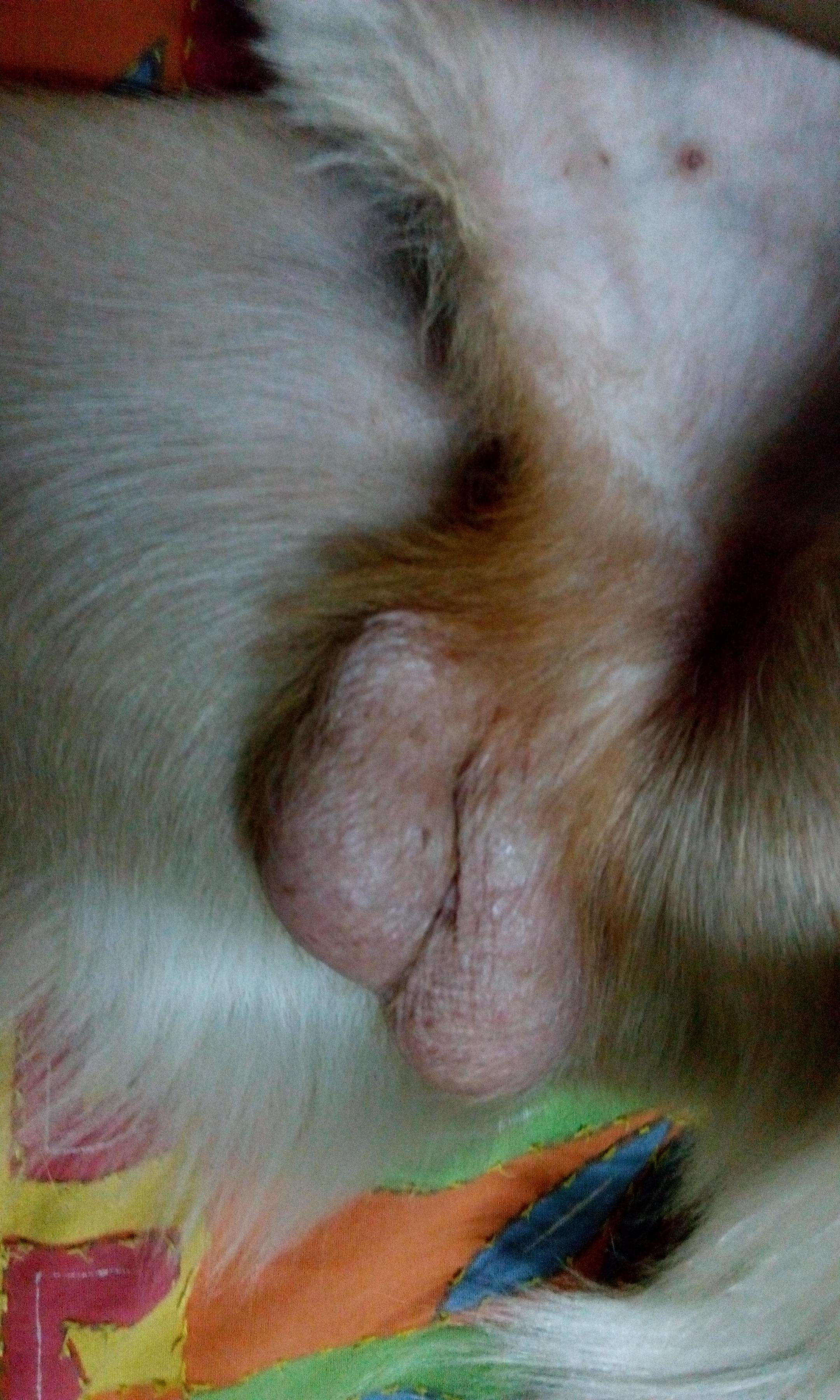 Question details sensitive content