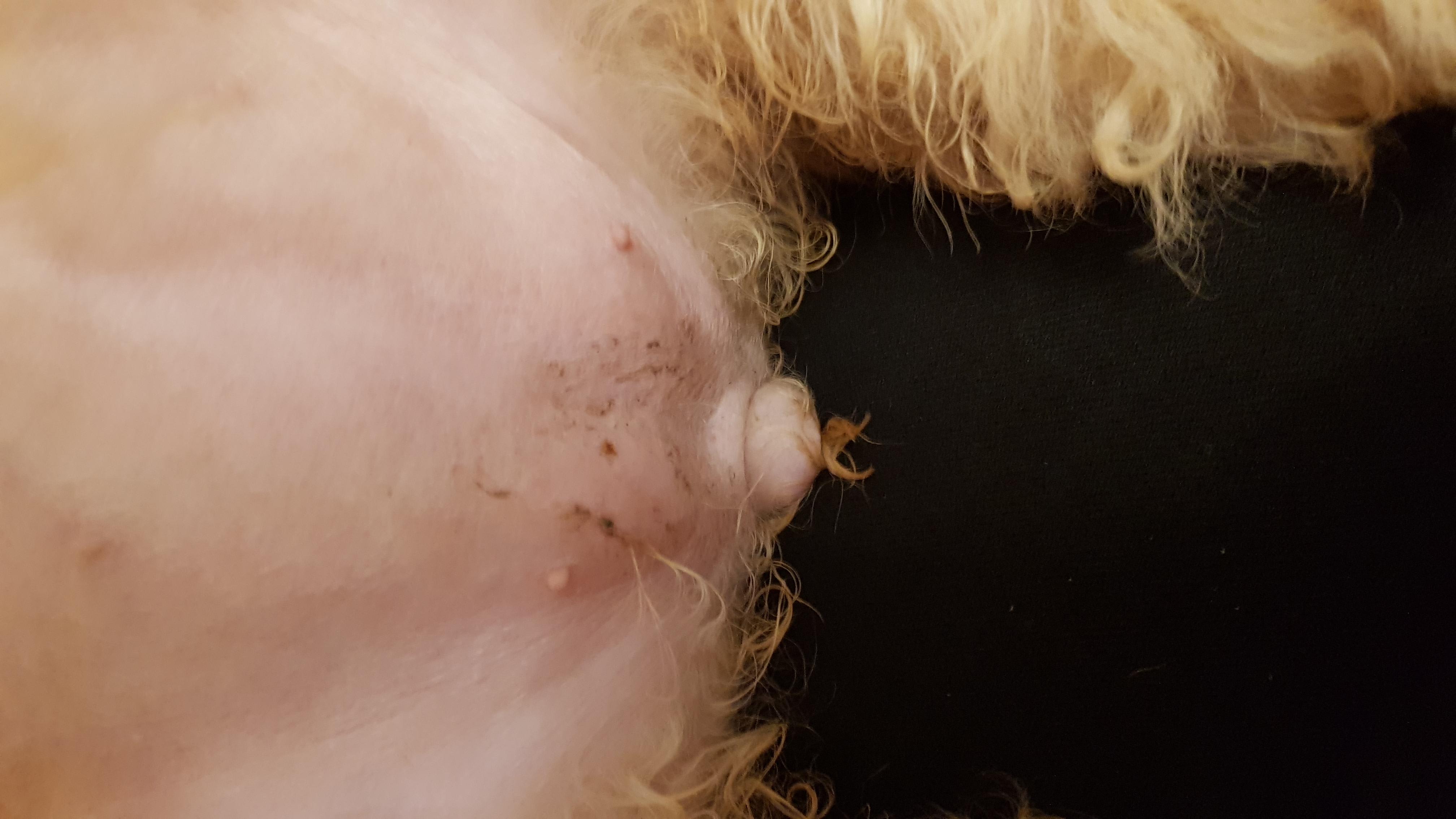 Question details sensitive content